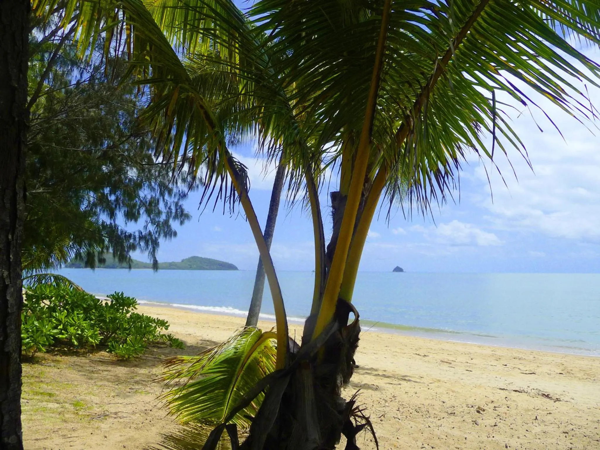 Day in South Pacific Bed & Breakfast