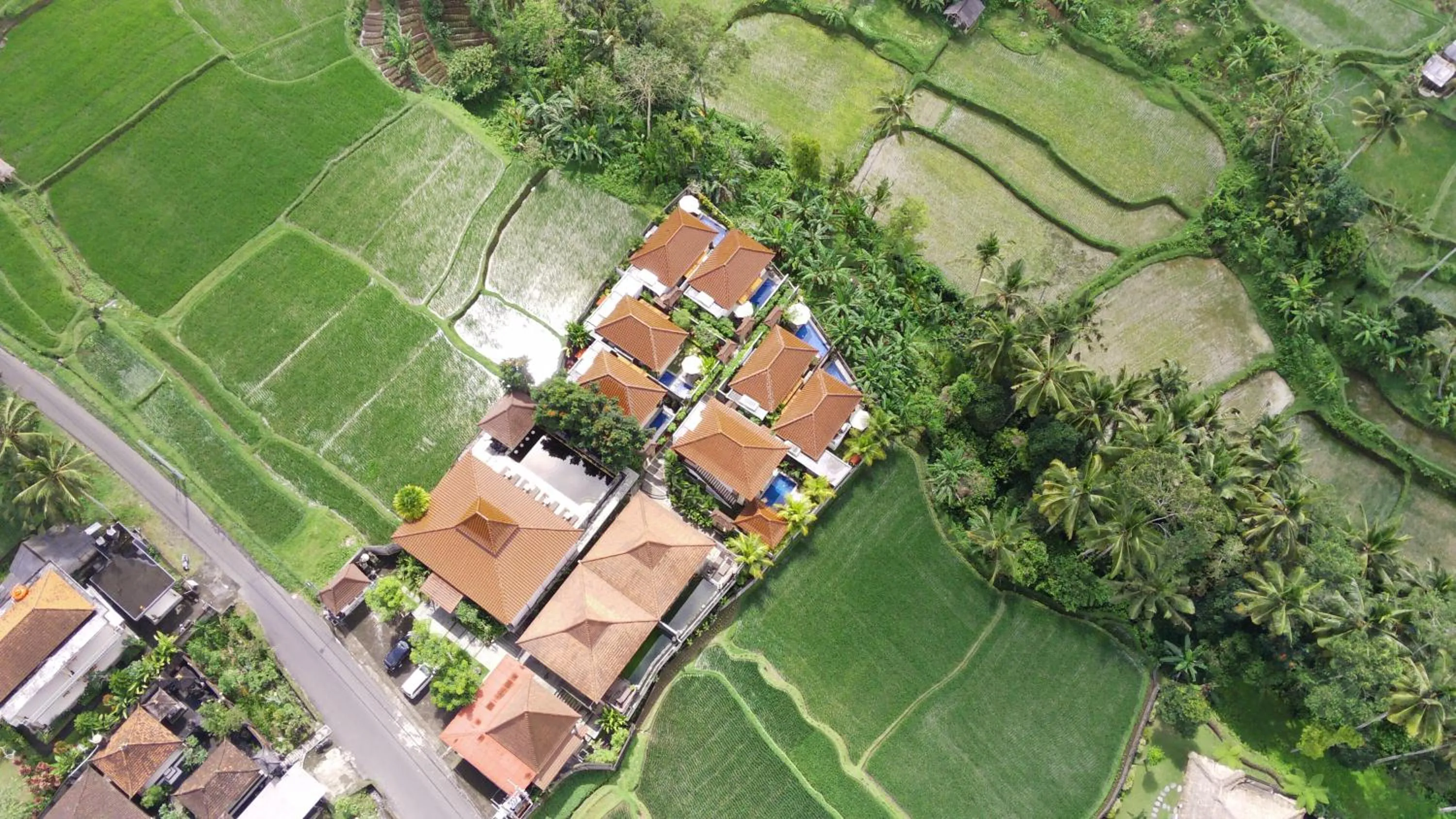 Natural landscape in Danakha Villa Ubud