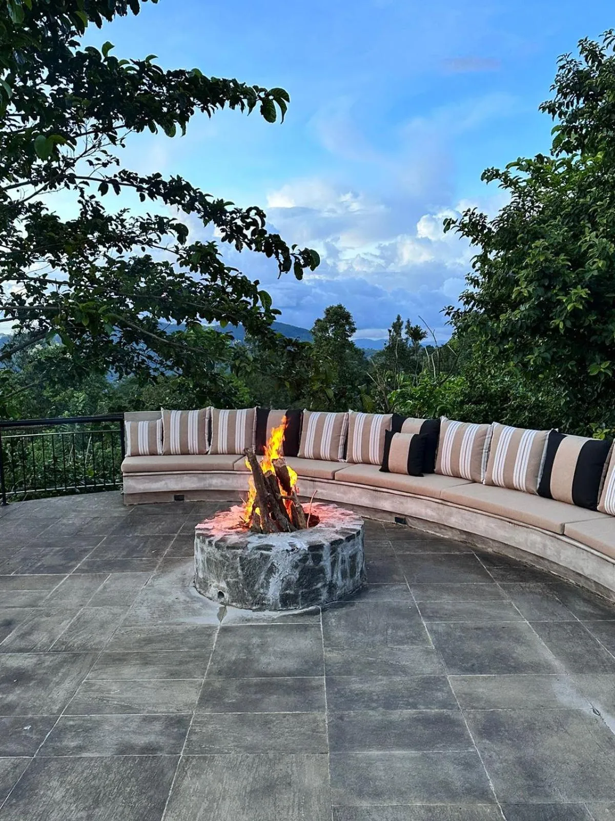 flat iron in Kandy Dendrobium House