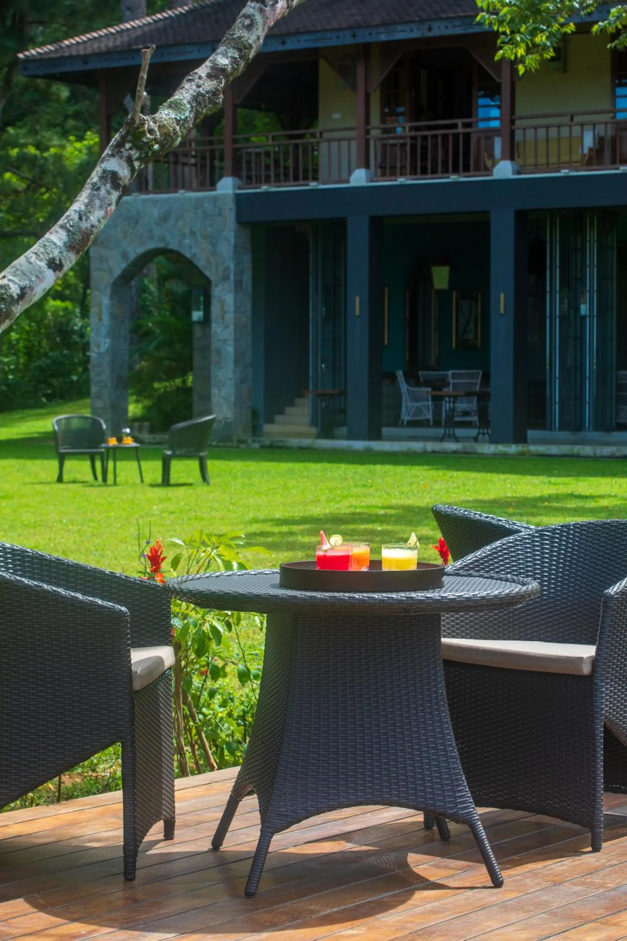 Garden in Kandy Dendrobium House