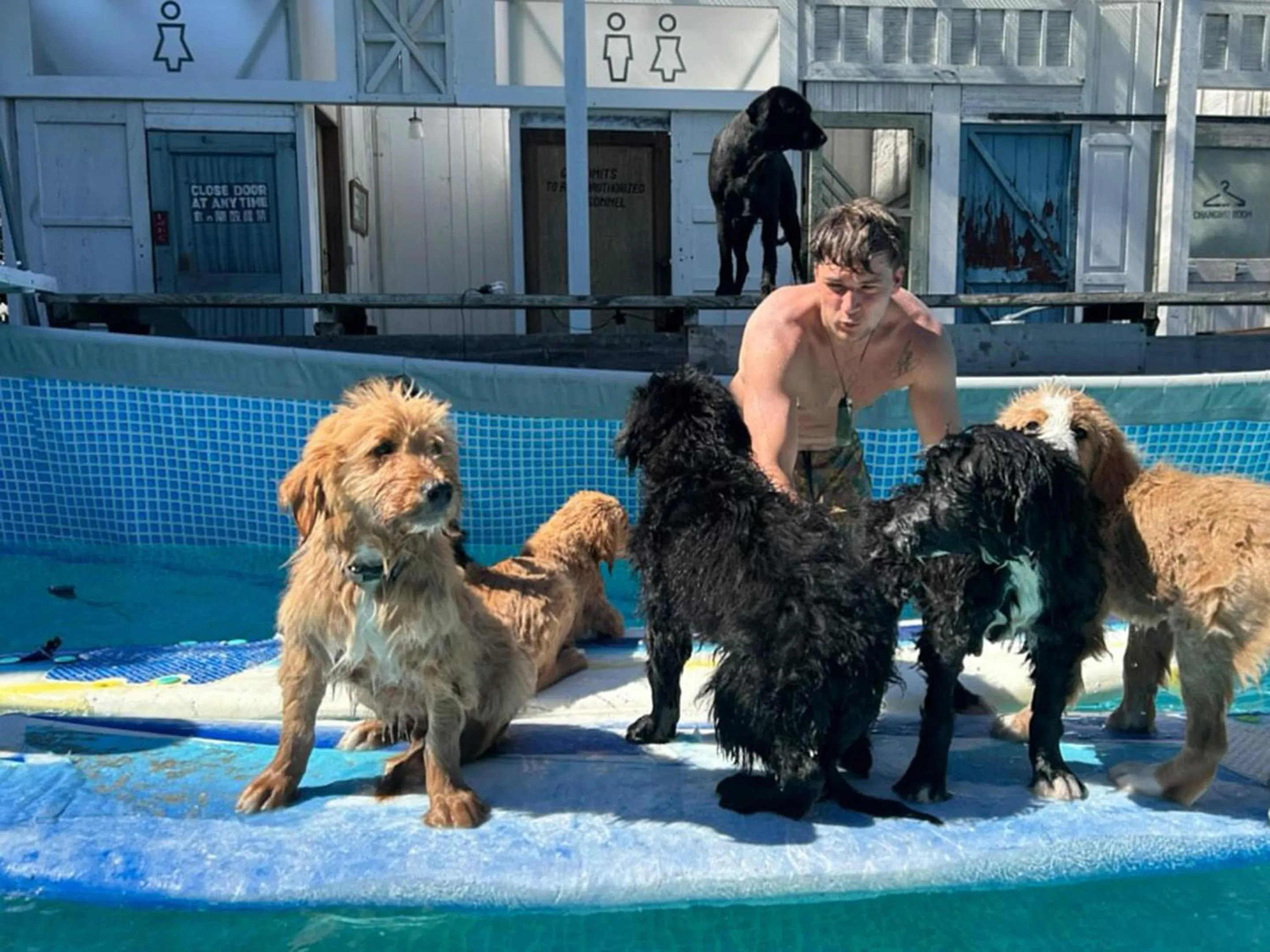 pet friendly in Drive in Ichinomiya motel