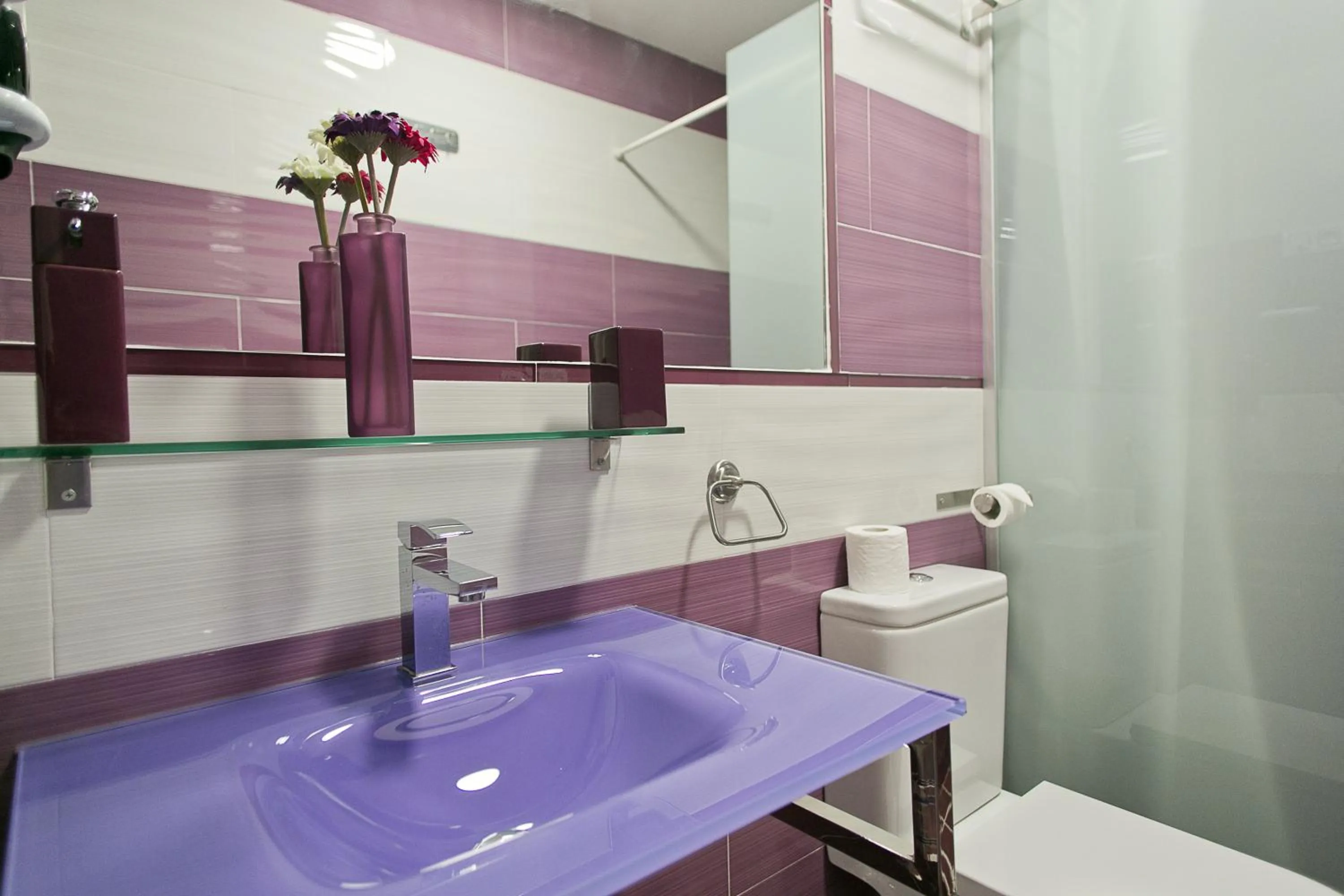 Shower in Hostal Alexis Madrid