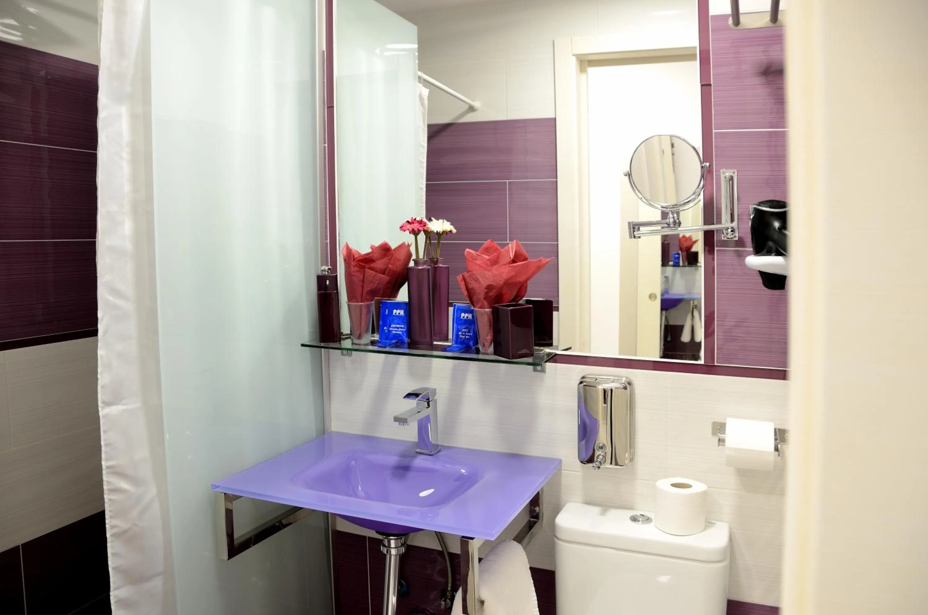 Shower in Hostal Alexis Madrid