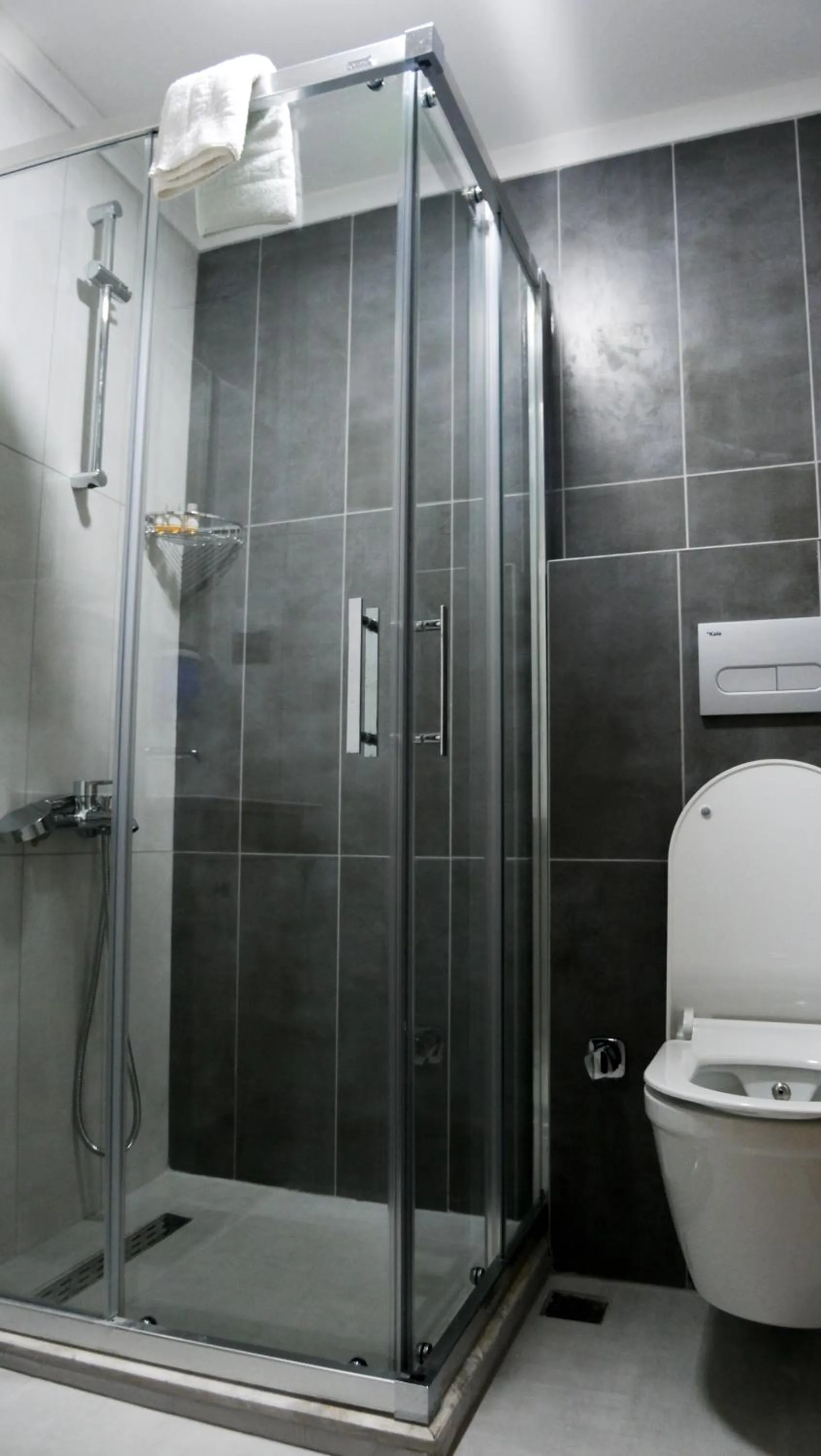 Toilet in ÇALIŞKANLAR OTEL