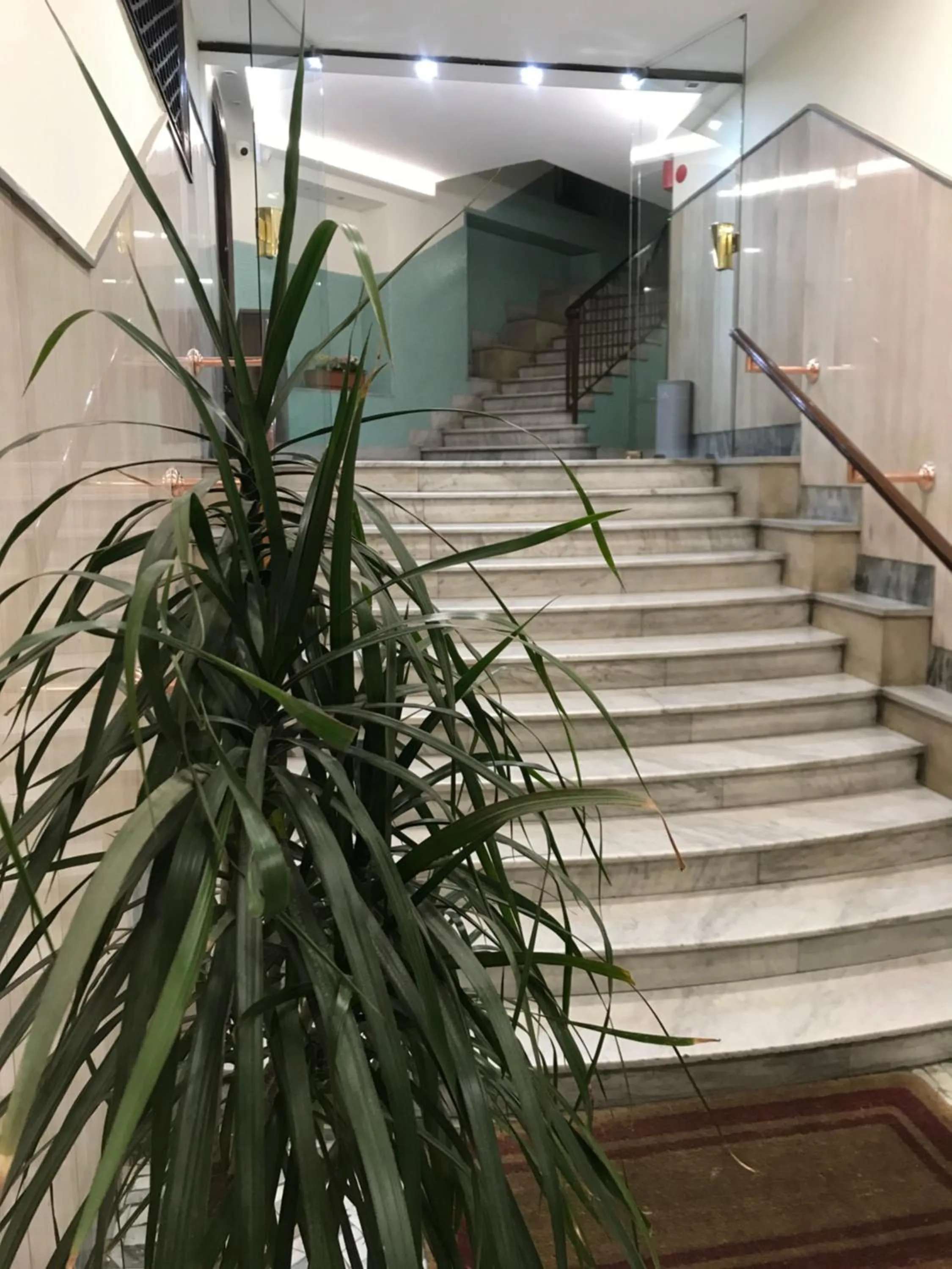 Facade/entrance in International Naples