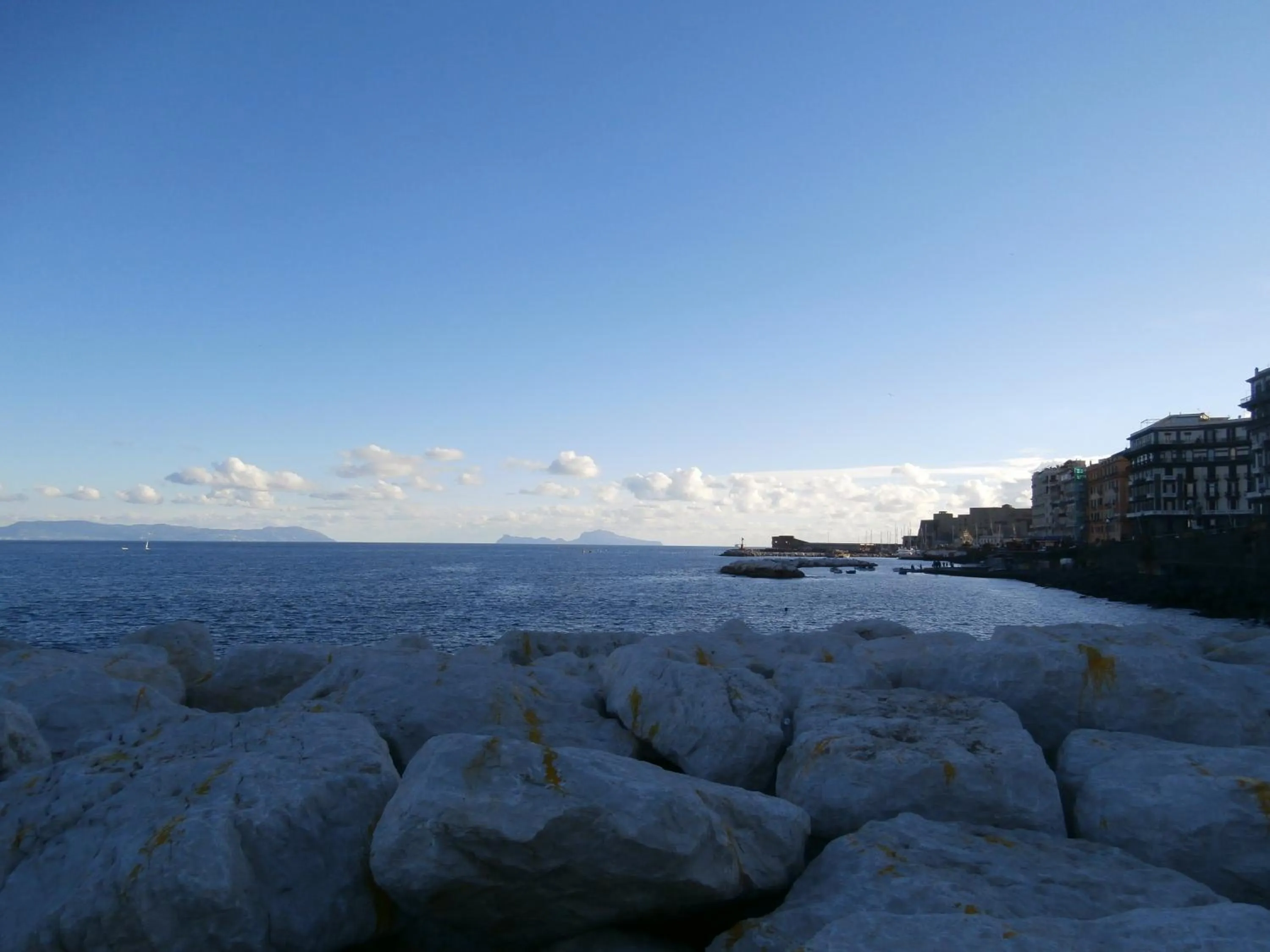 Area and facilities in International Naples