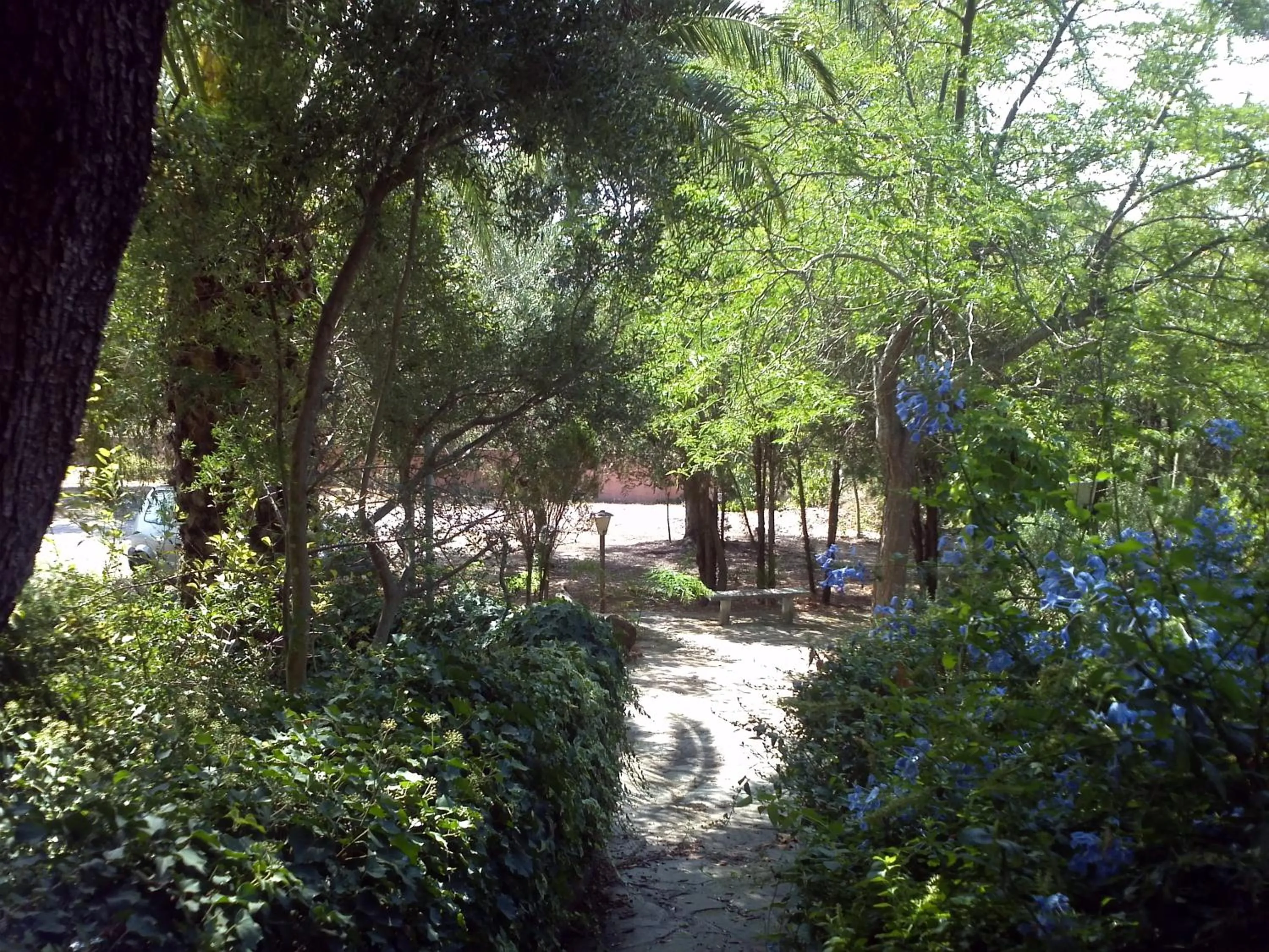 Garden in Hotel Abbaruja