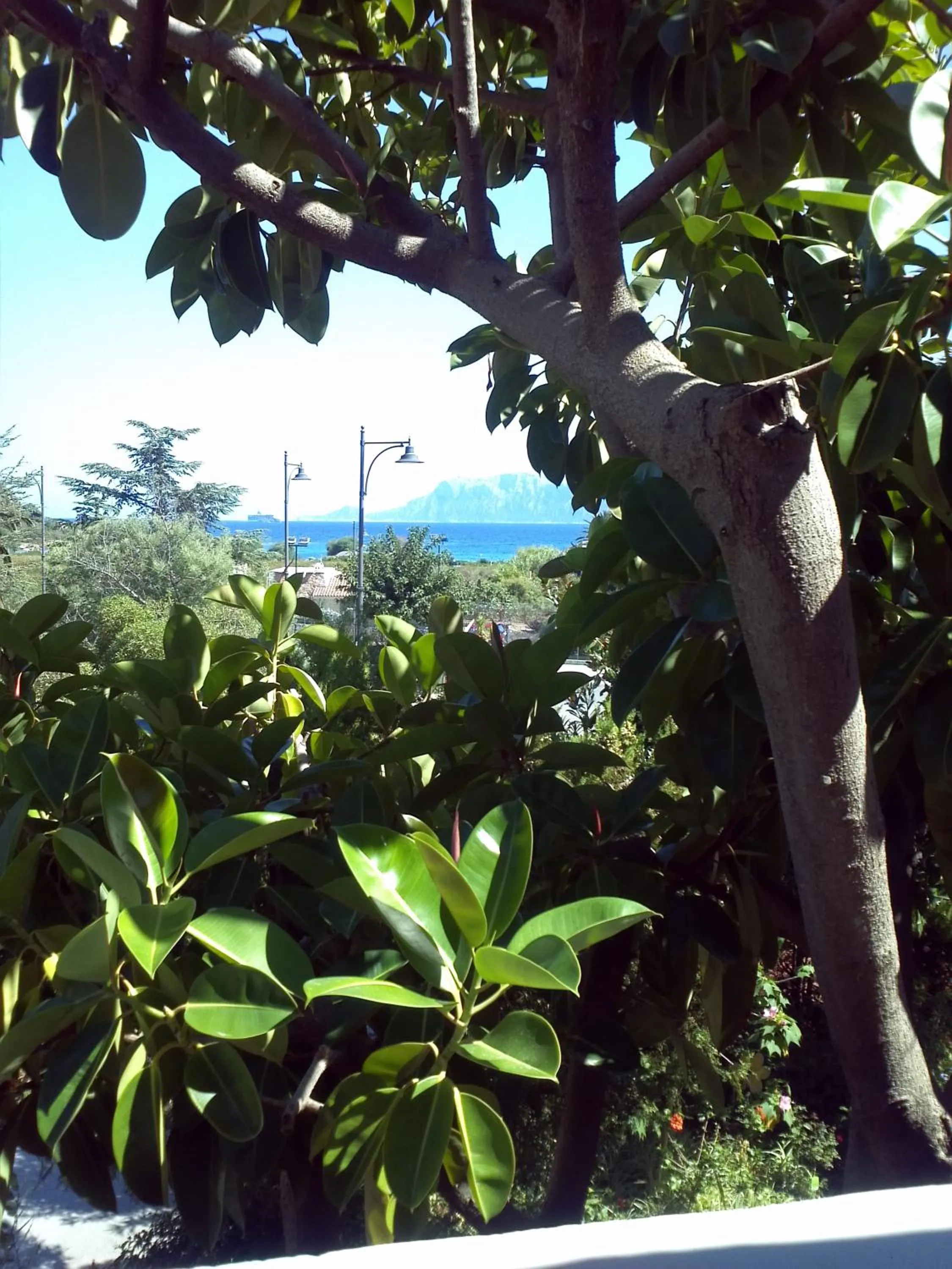 View (from property/room) in Hotel Abbaruja