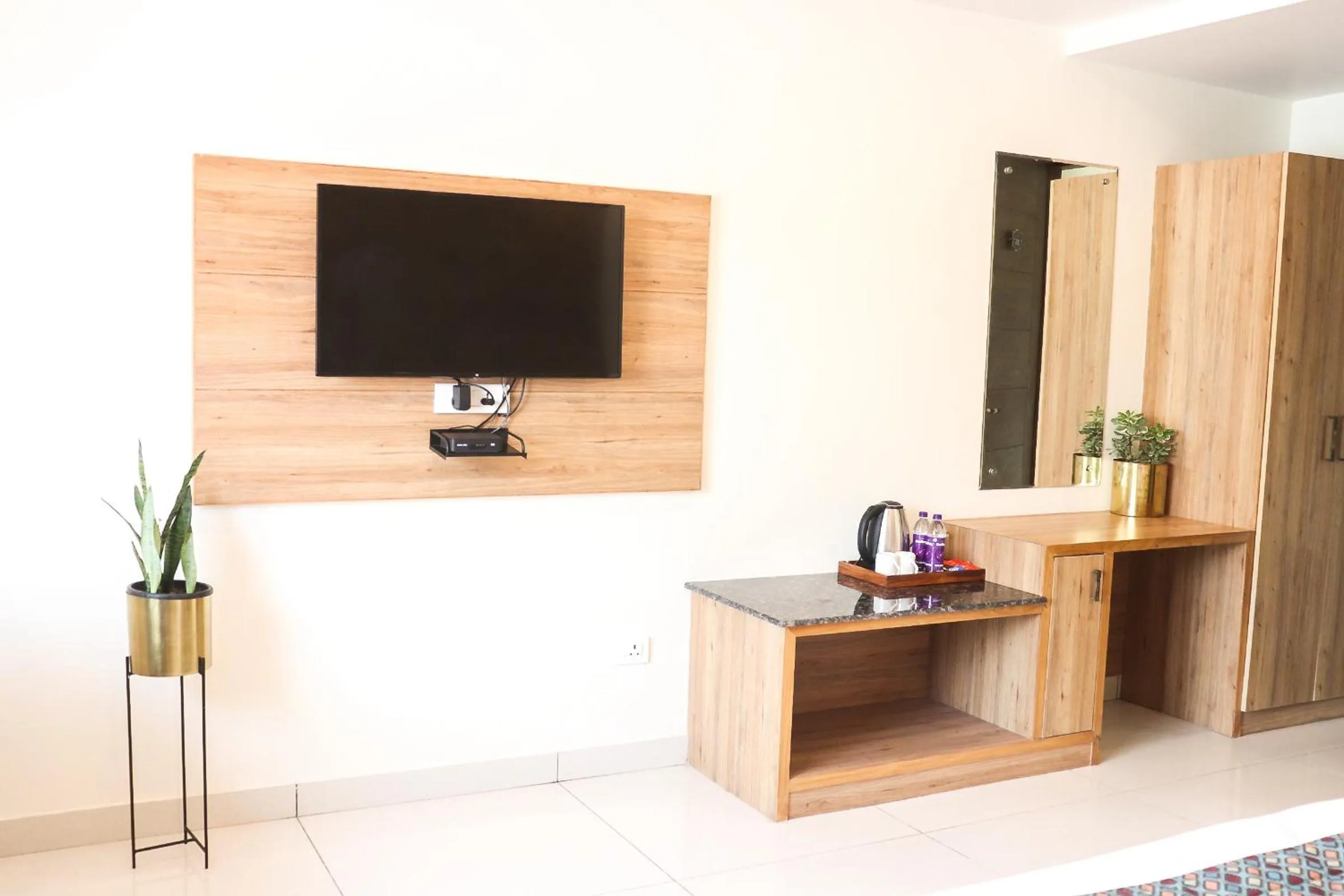 TV and multimedia in Hotel Royal Palm Dehradun