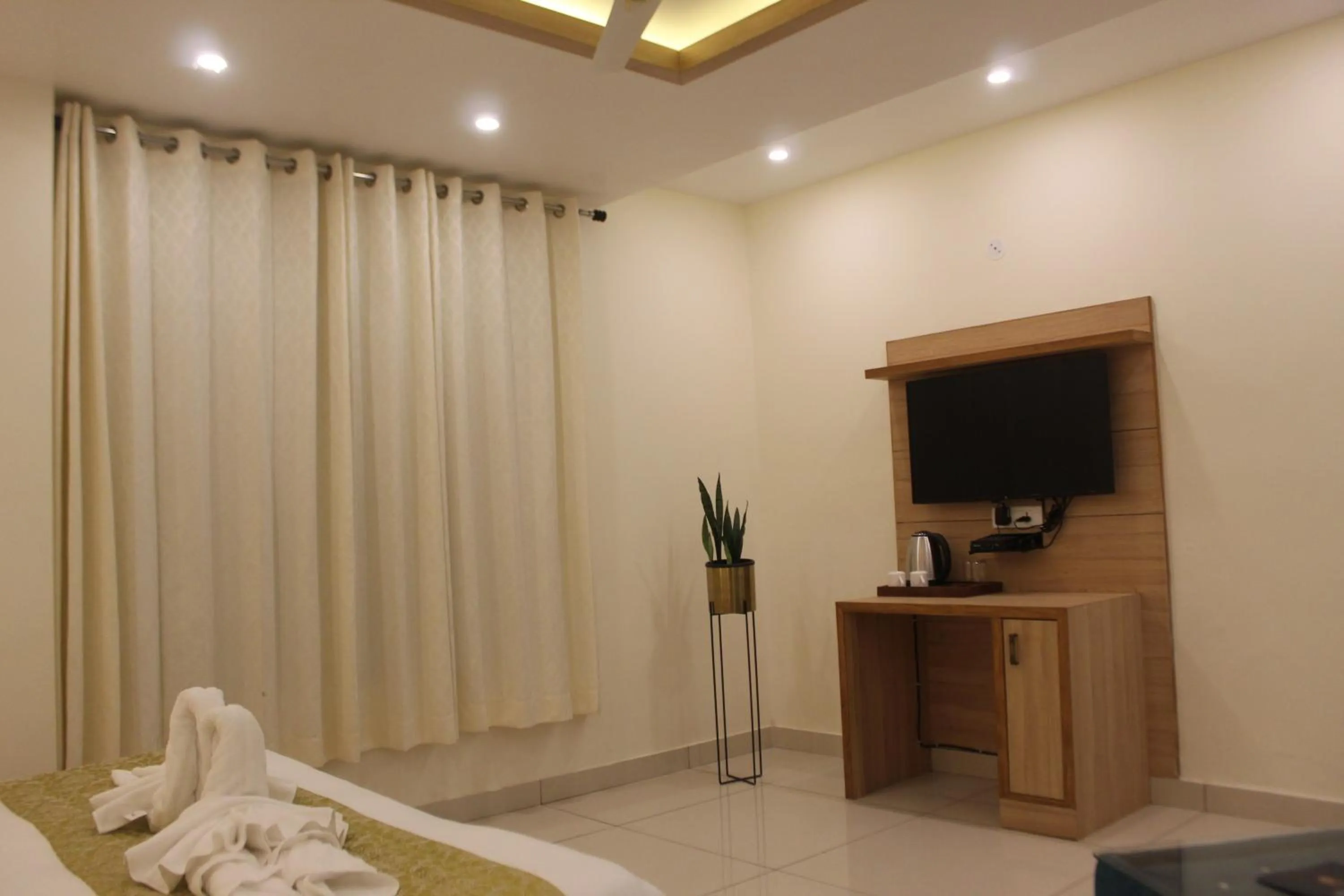 TV and multimedia in Hotel Royal Palm Dehradun