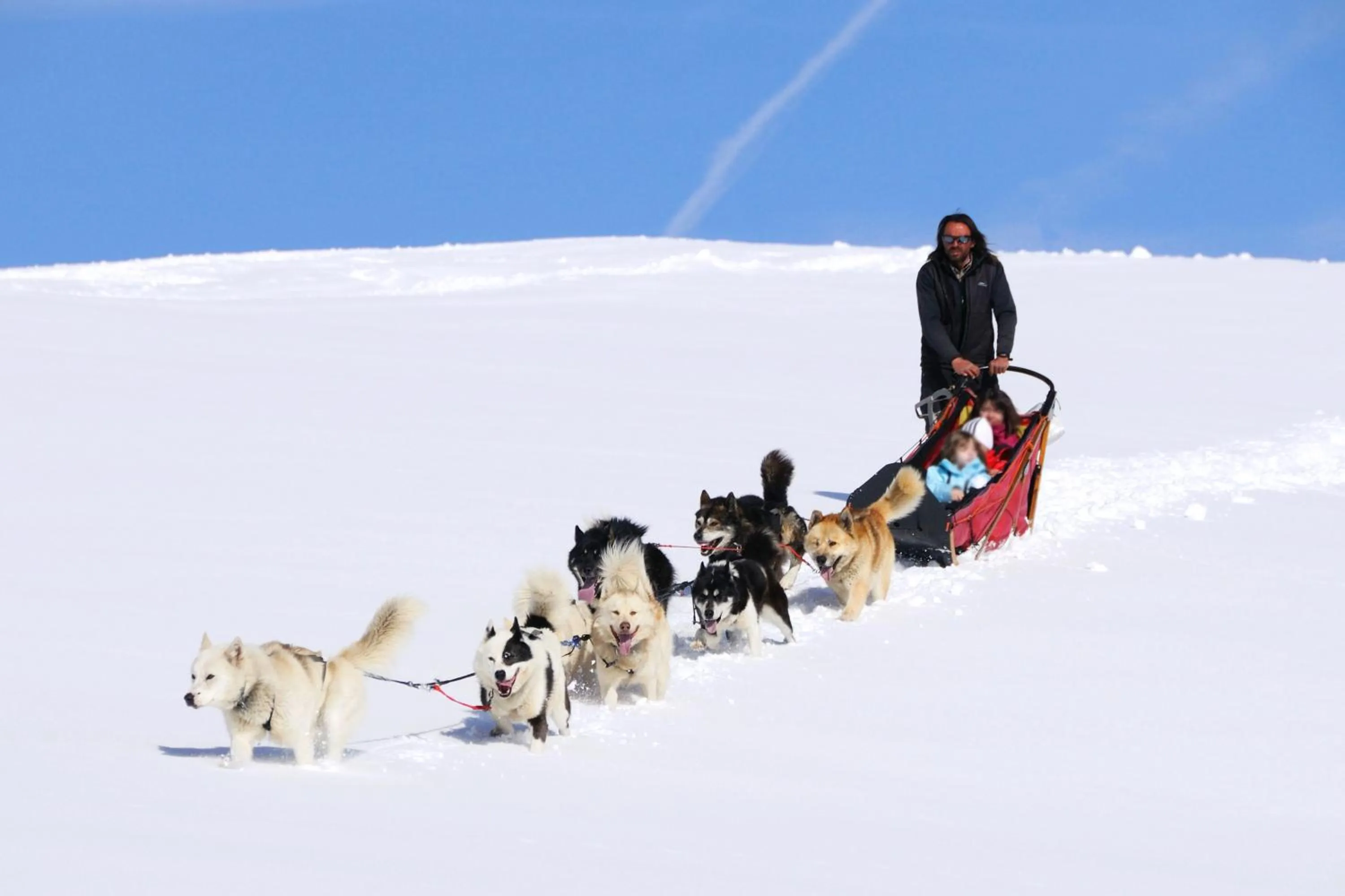Winter in Hôtel et Appart'Hôtel Restaurant L'Adray