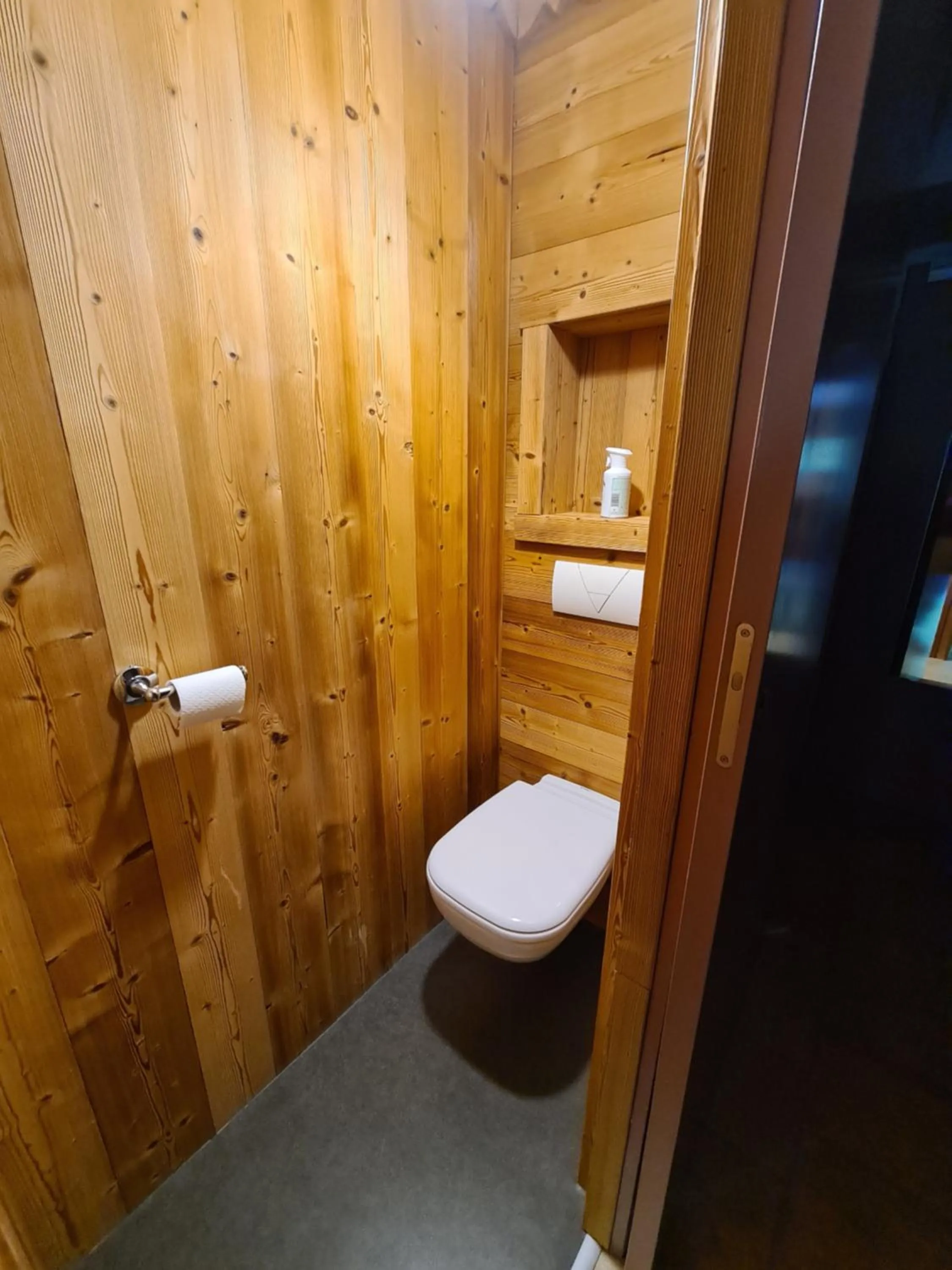 Toilet in Hôtel et Appart'Hôtel Restaurant L'Adray