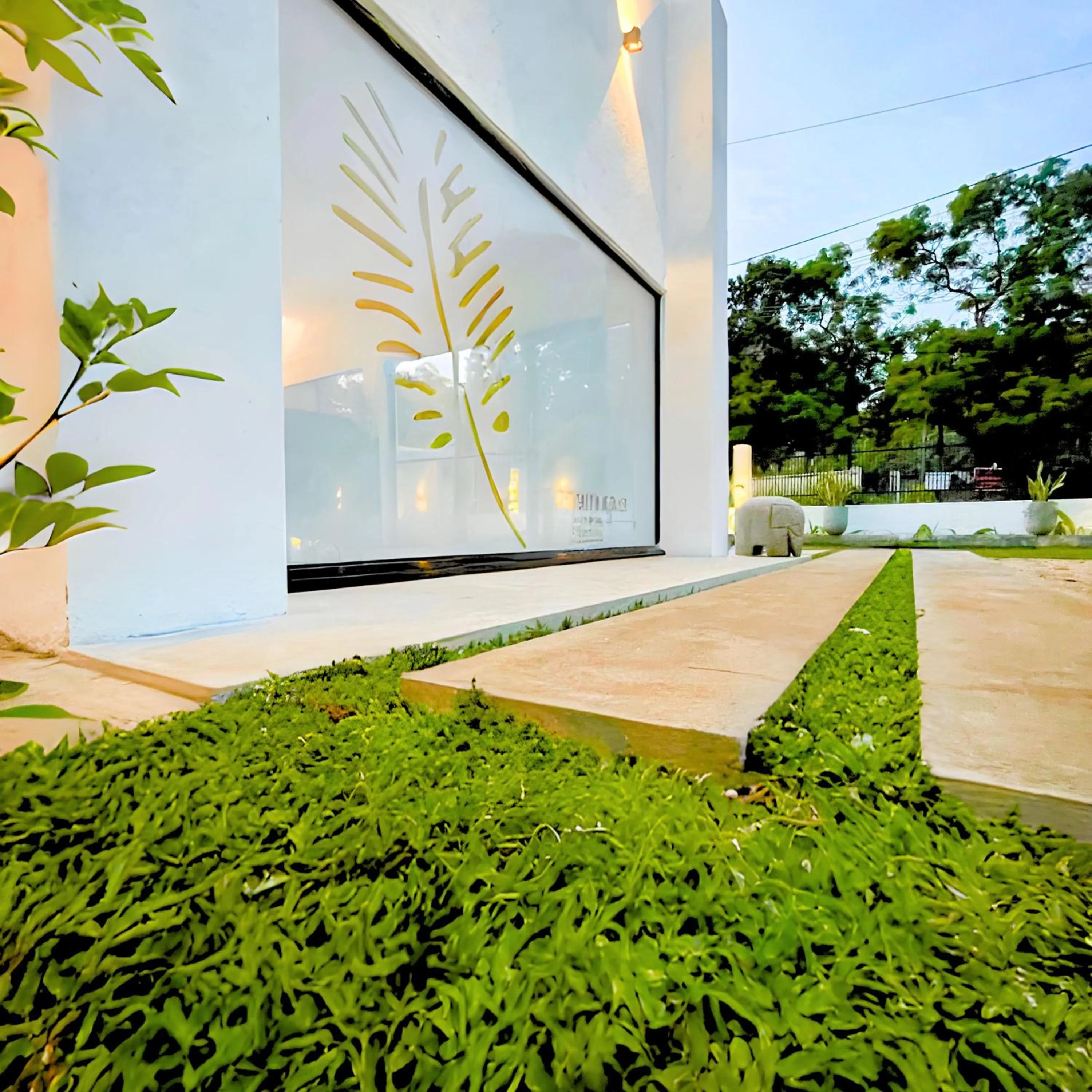 Garden in The Ivy Lake