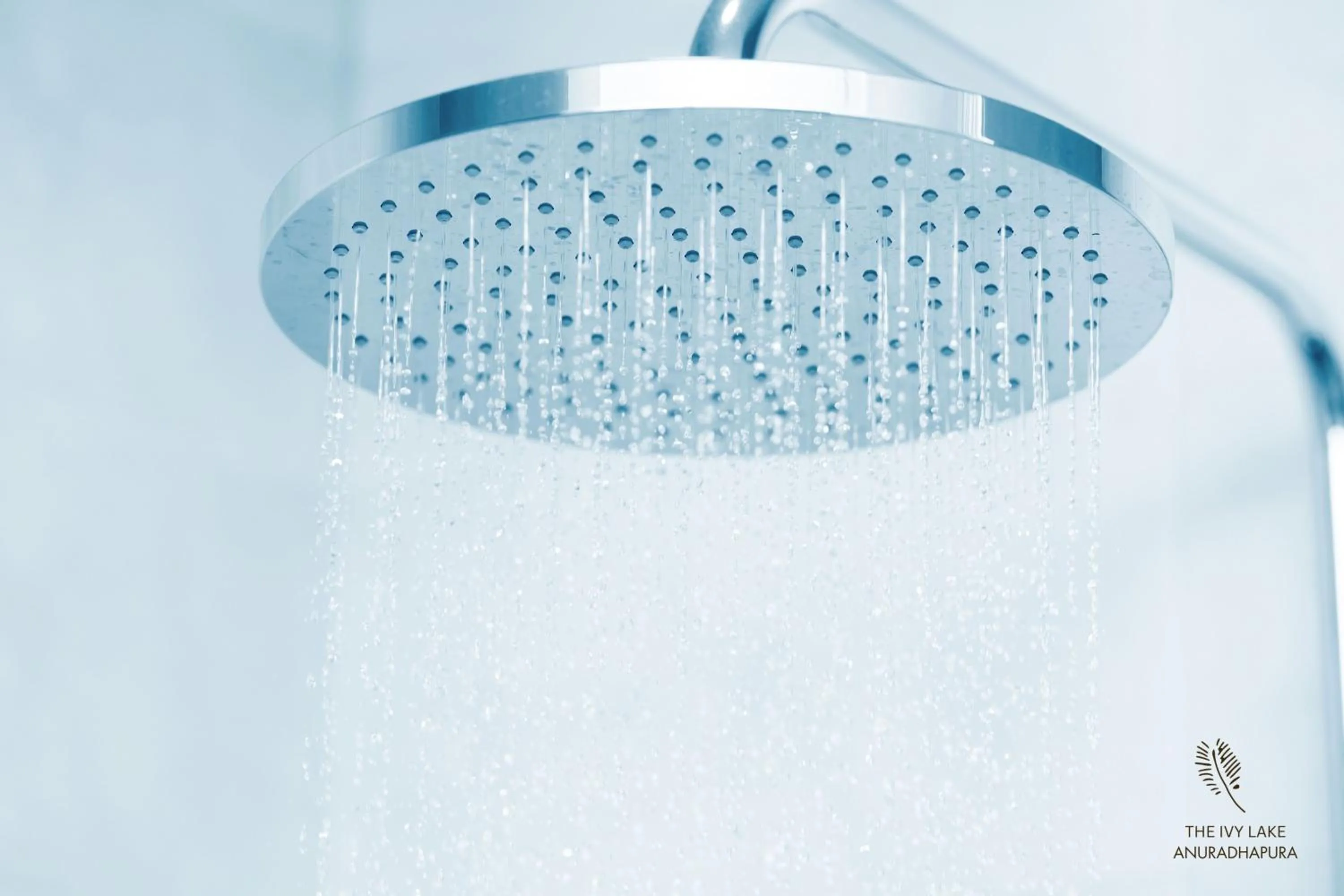 Bathroom in The Ivy Lake