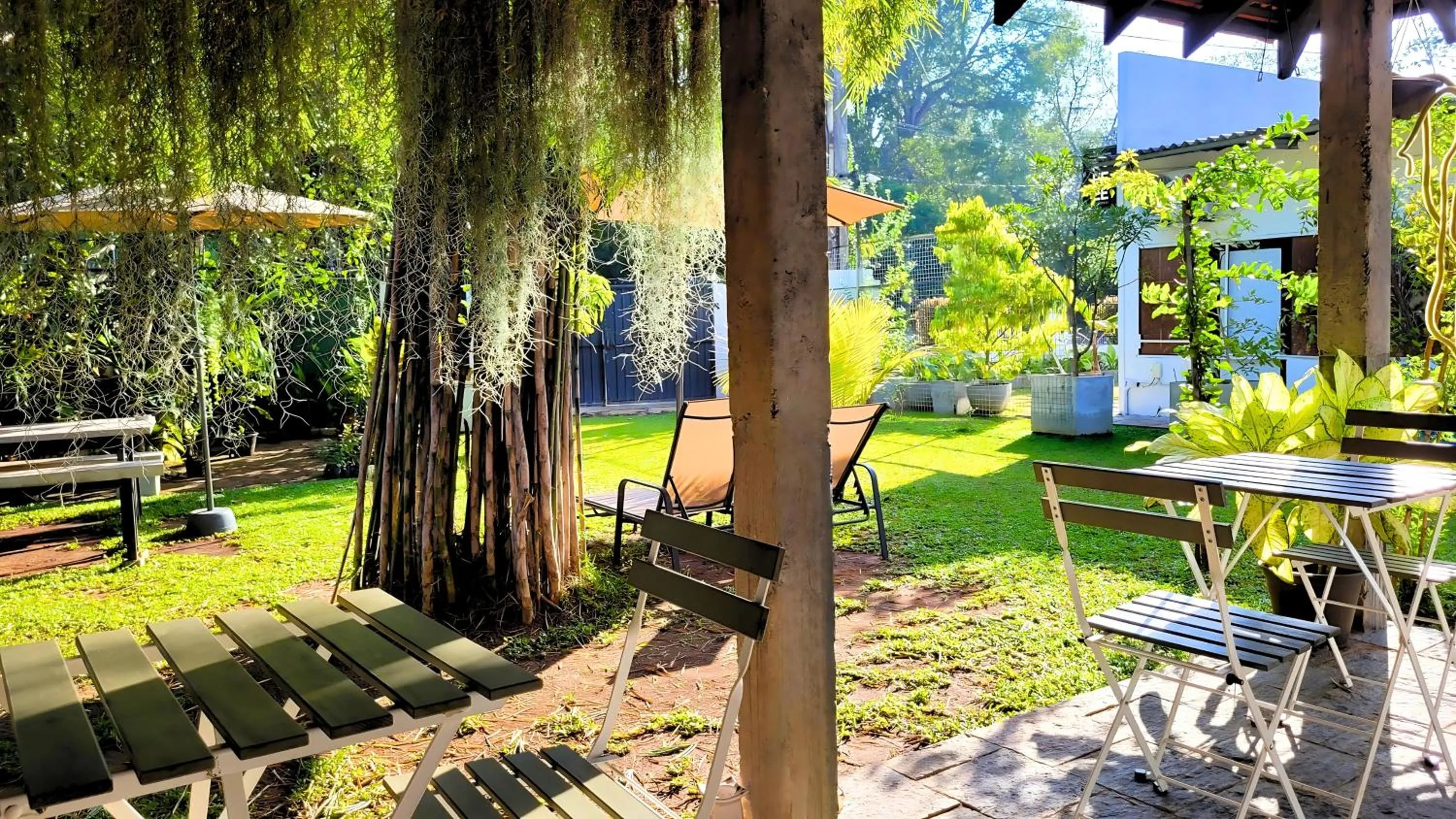 Garden in The Ivy Lake