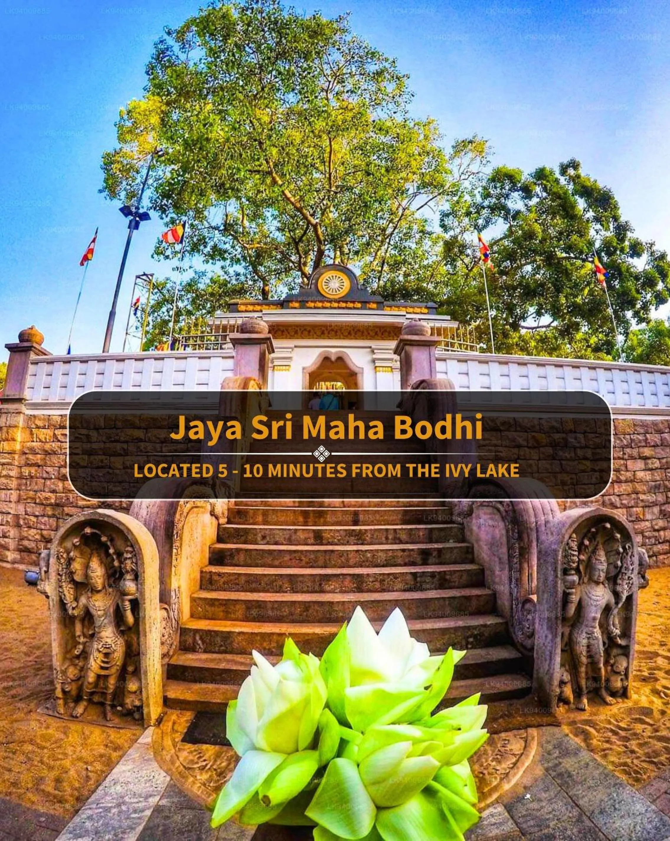 Nearby landmark in The Ivy Lake