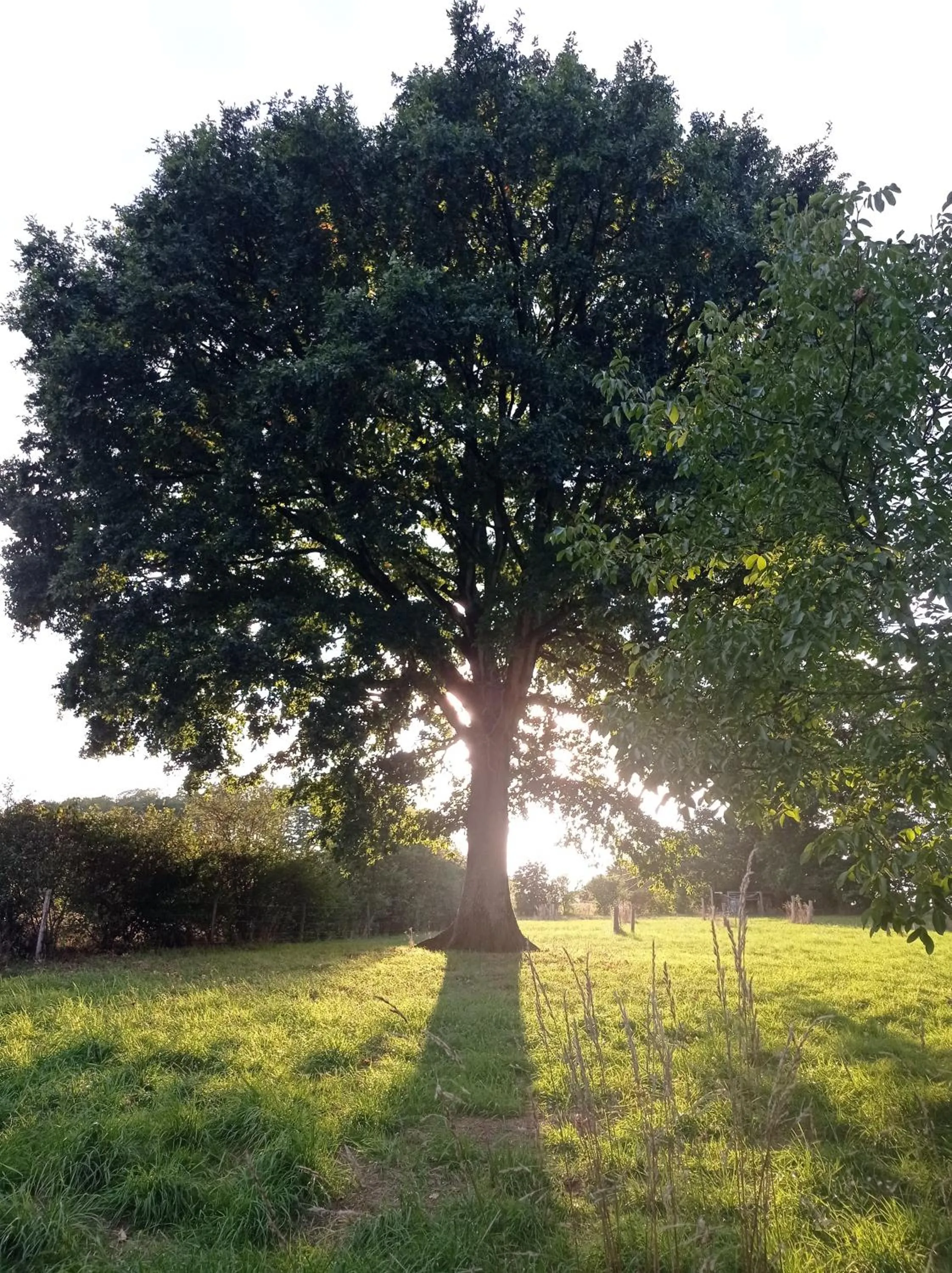 Chambres d'hôtes La Roche