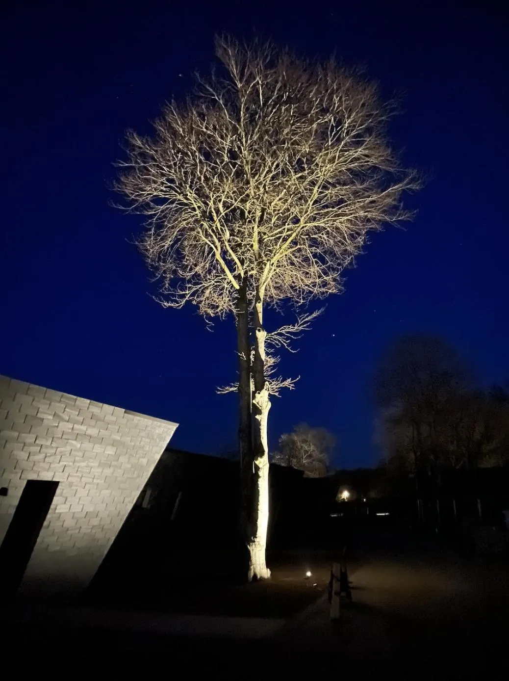 Night in SØGAARDEN - Hotel & SøCamp