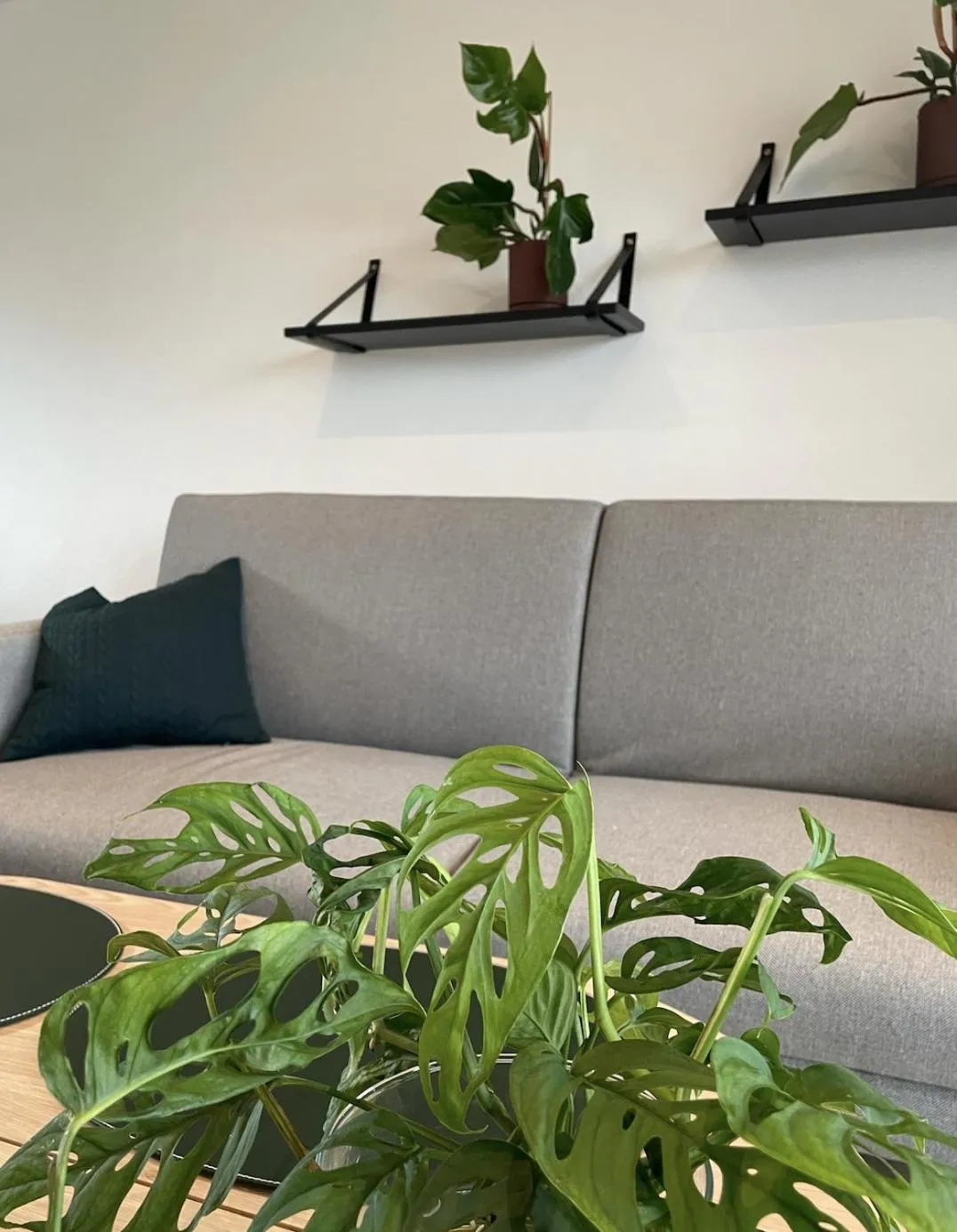 Living room in SØGAARDEN - Hotel & SøCamp