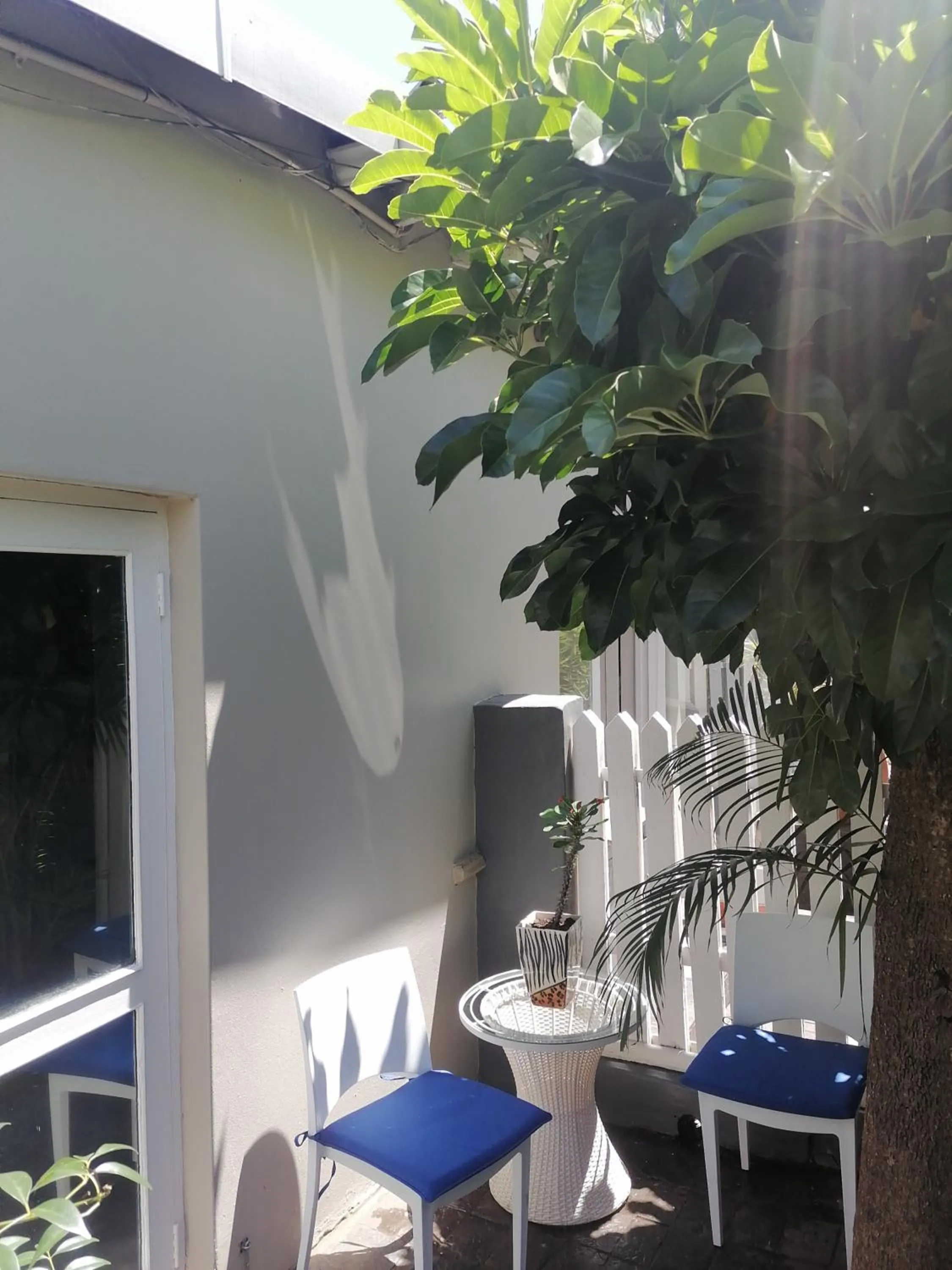 Patio in Conifer Beach House