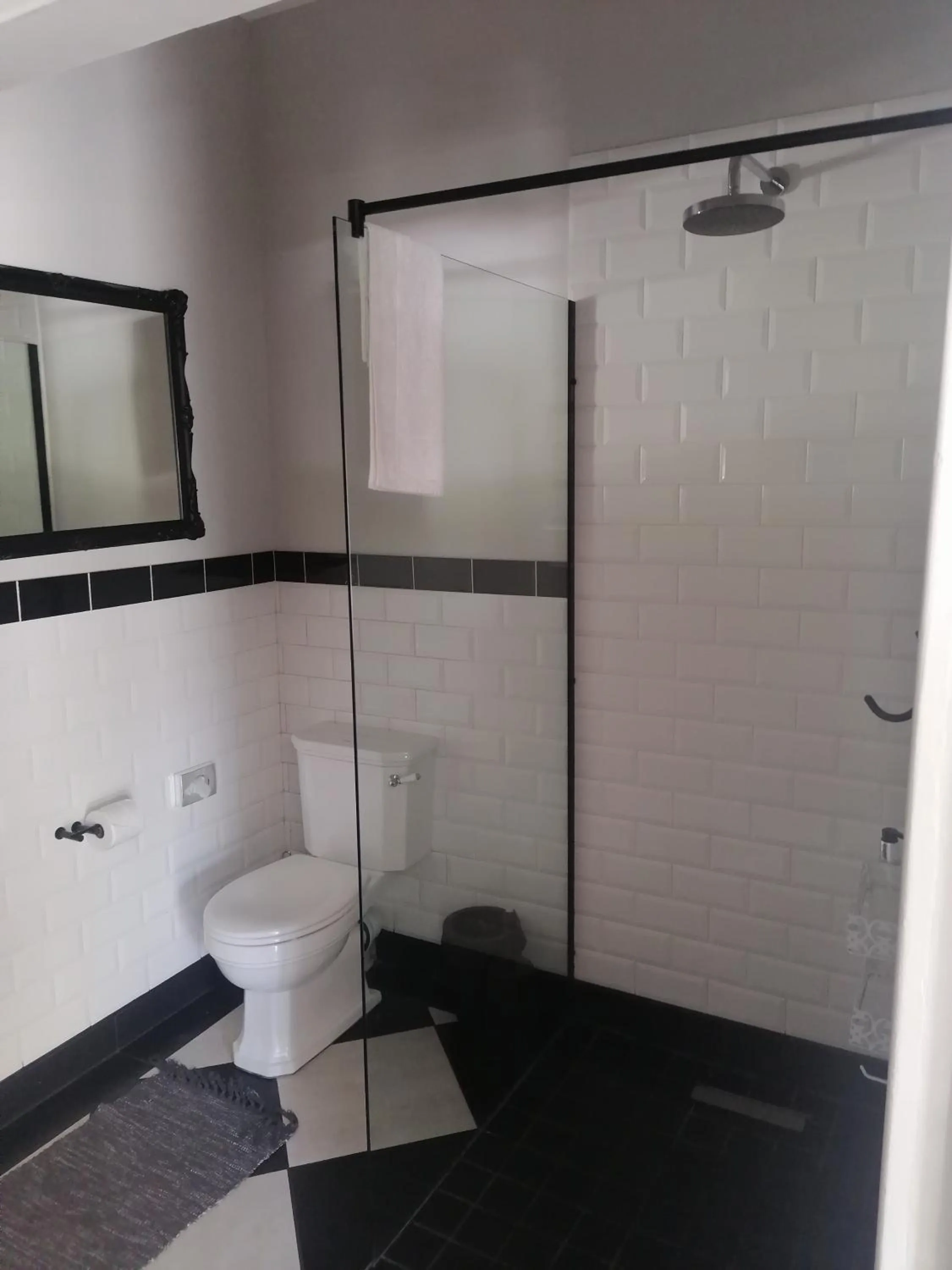 Shower in Conifer Beach House