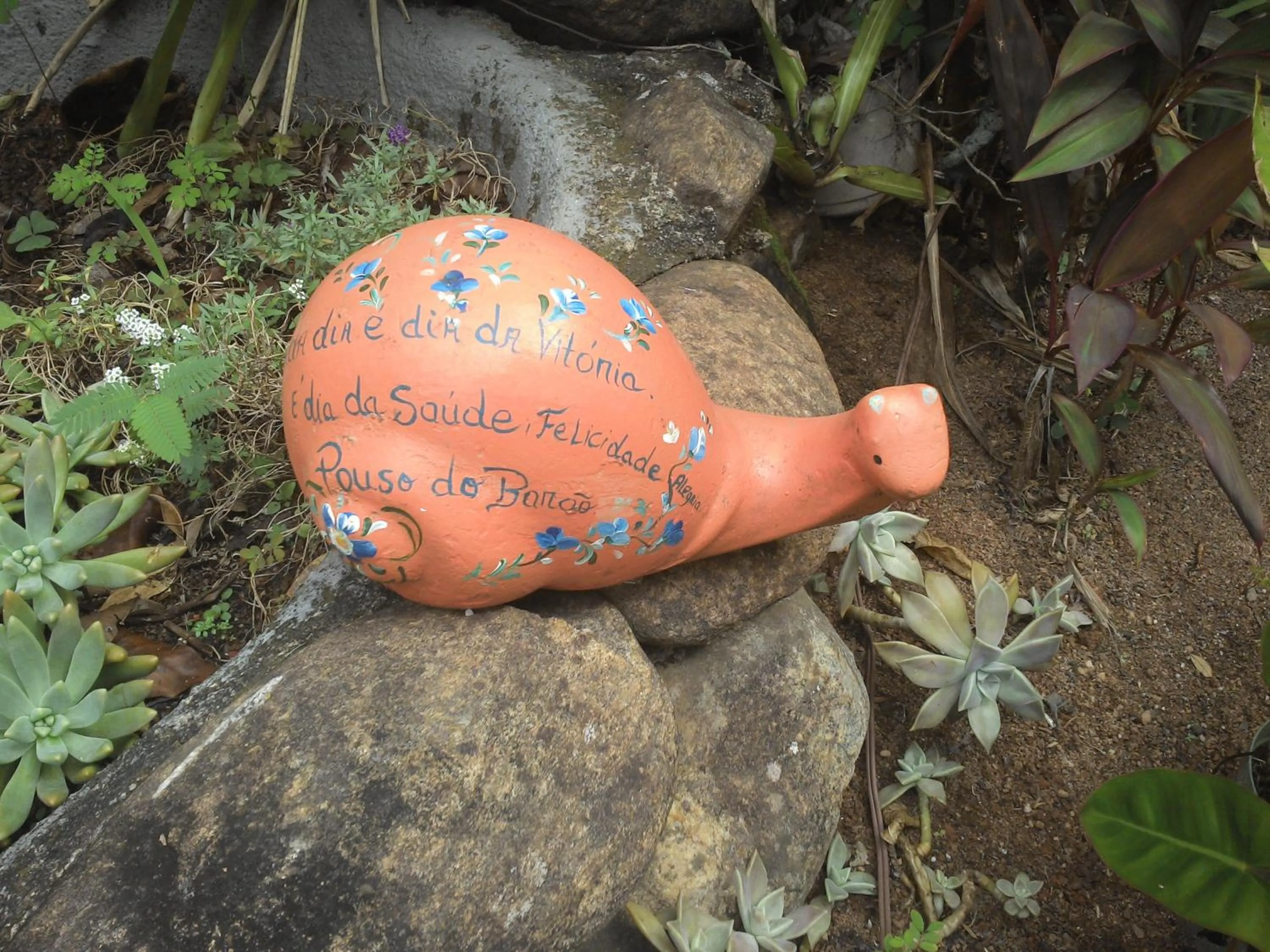 Day in Pousada Pouso do Barão