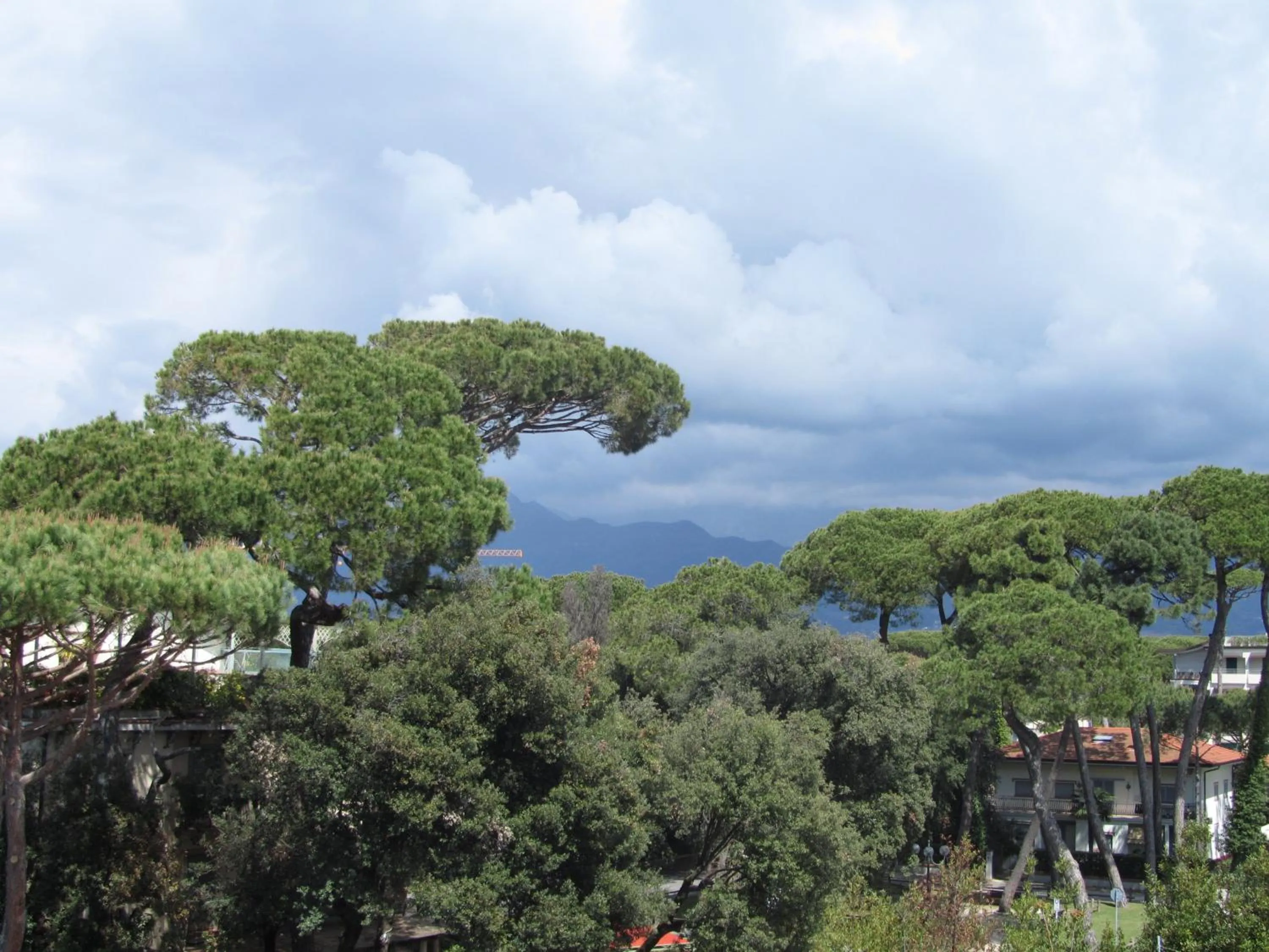 View (from property/room) in President Hotel