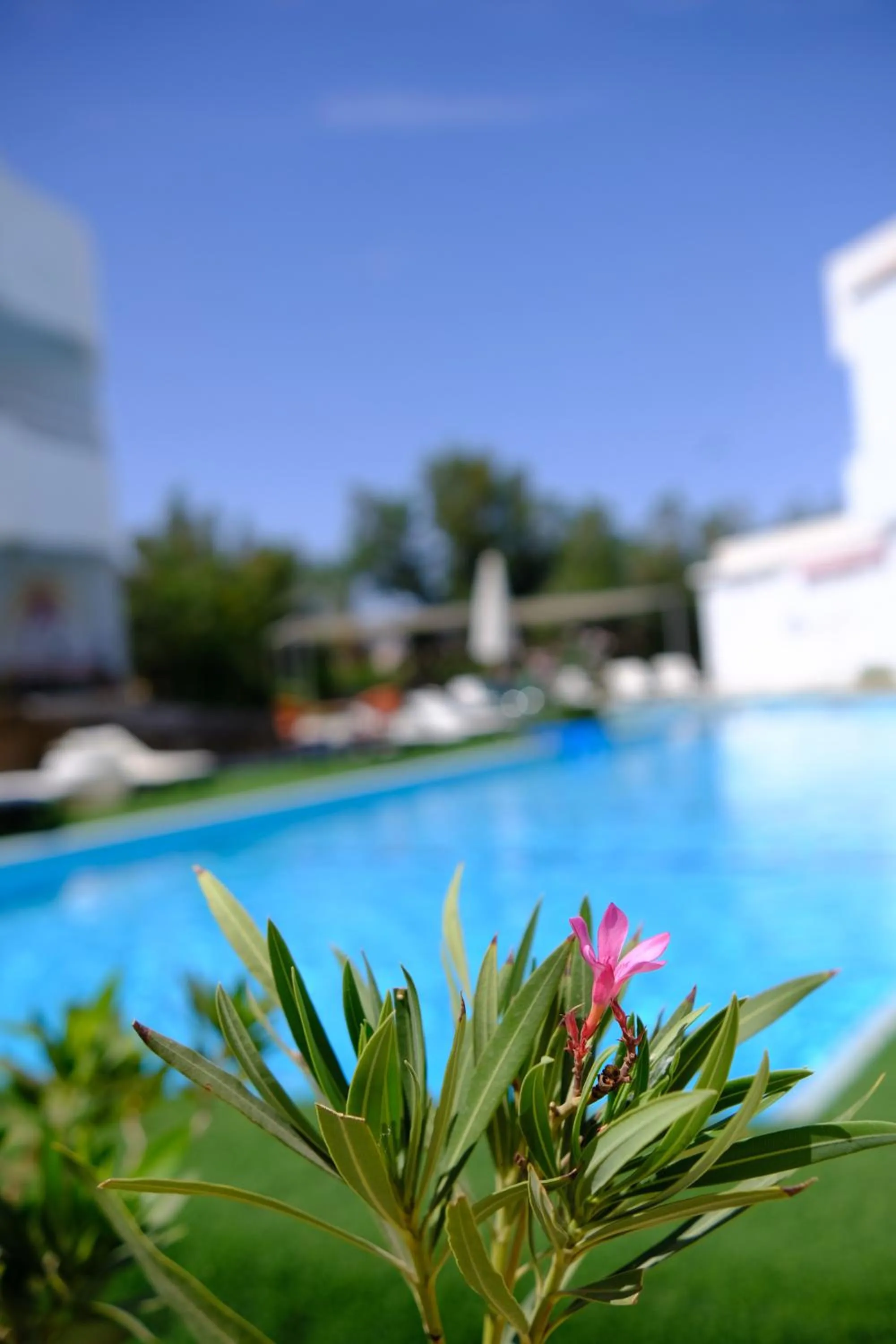 Swimming pool in Viking club hotel