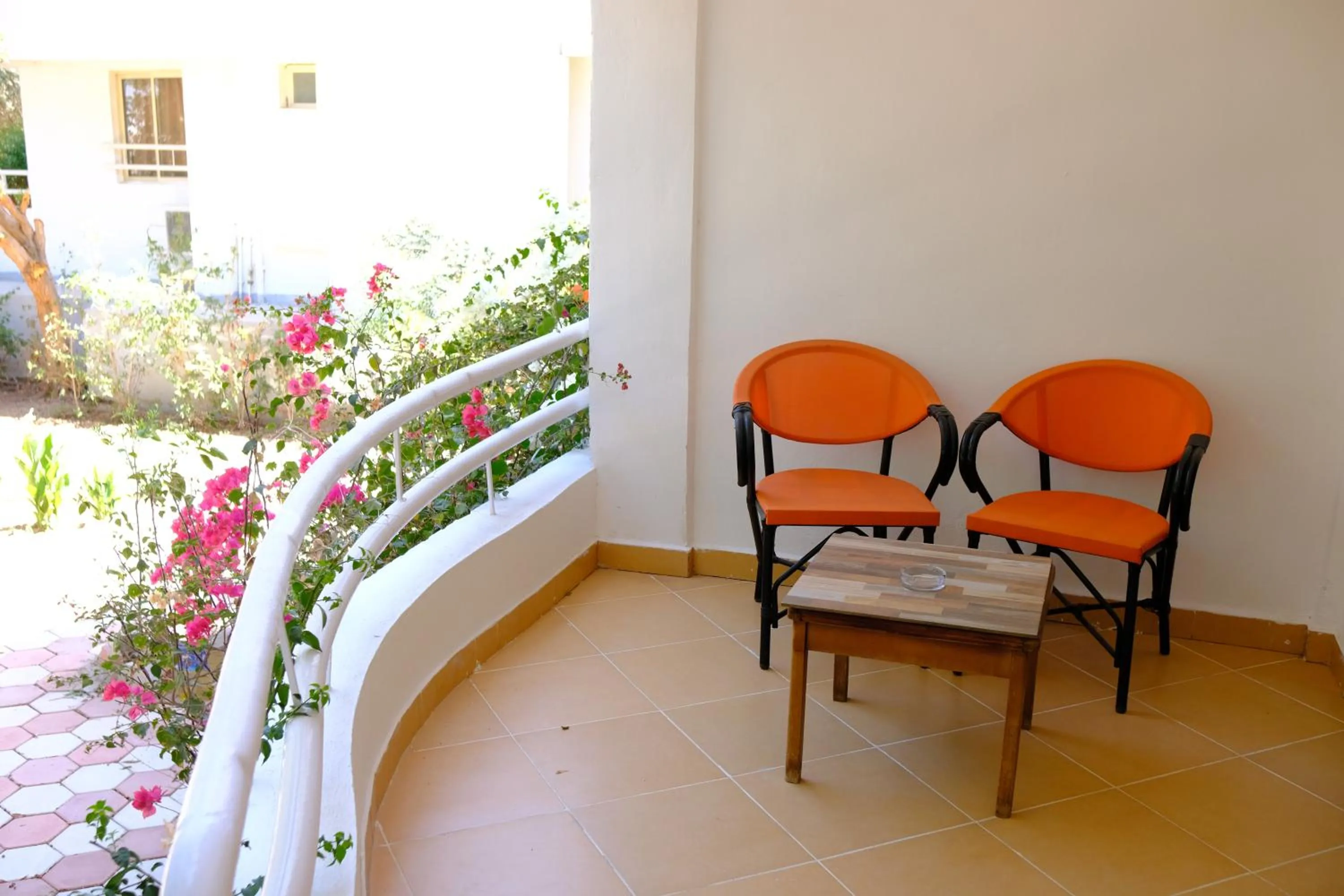 View (from property/room) in Viking club hotel