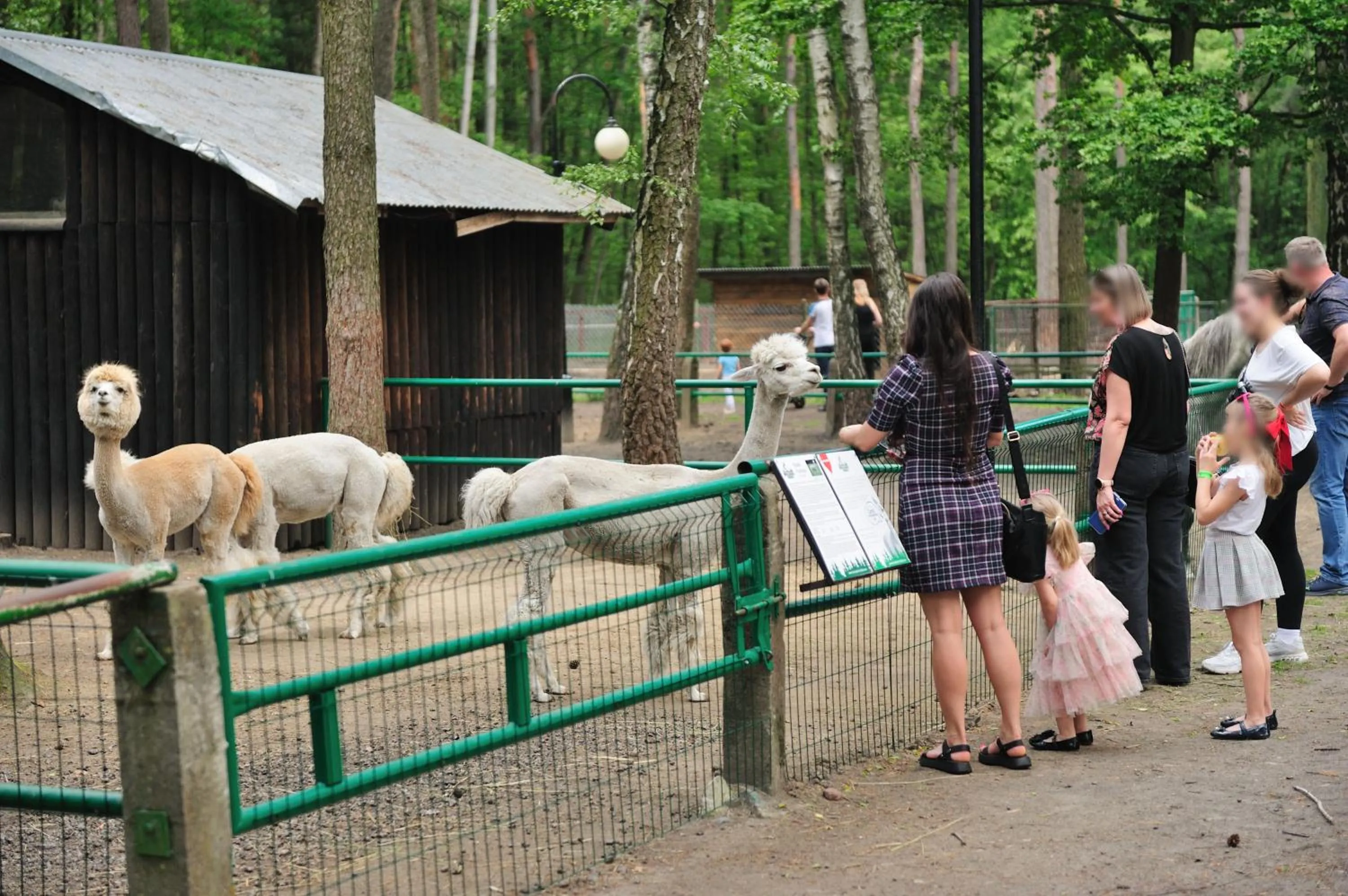 Children play ground in Malutkie Resort