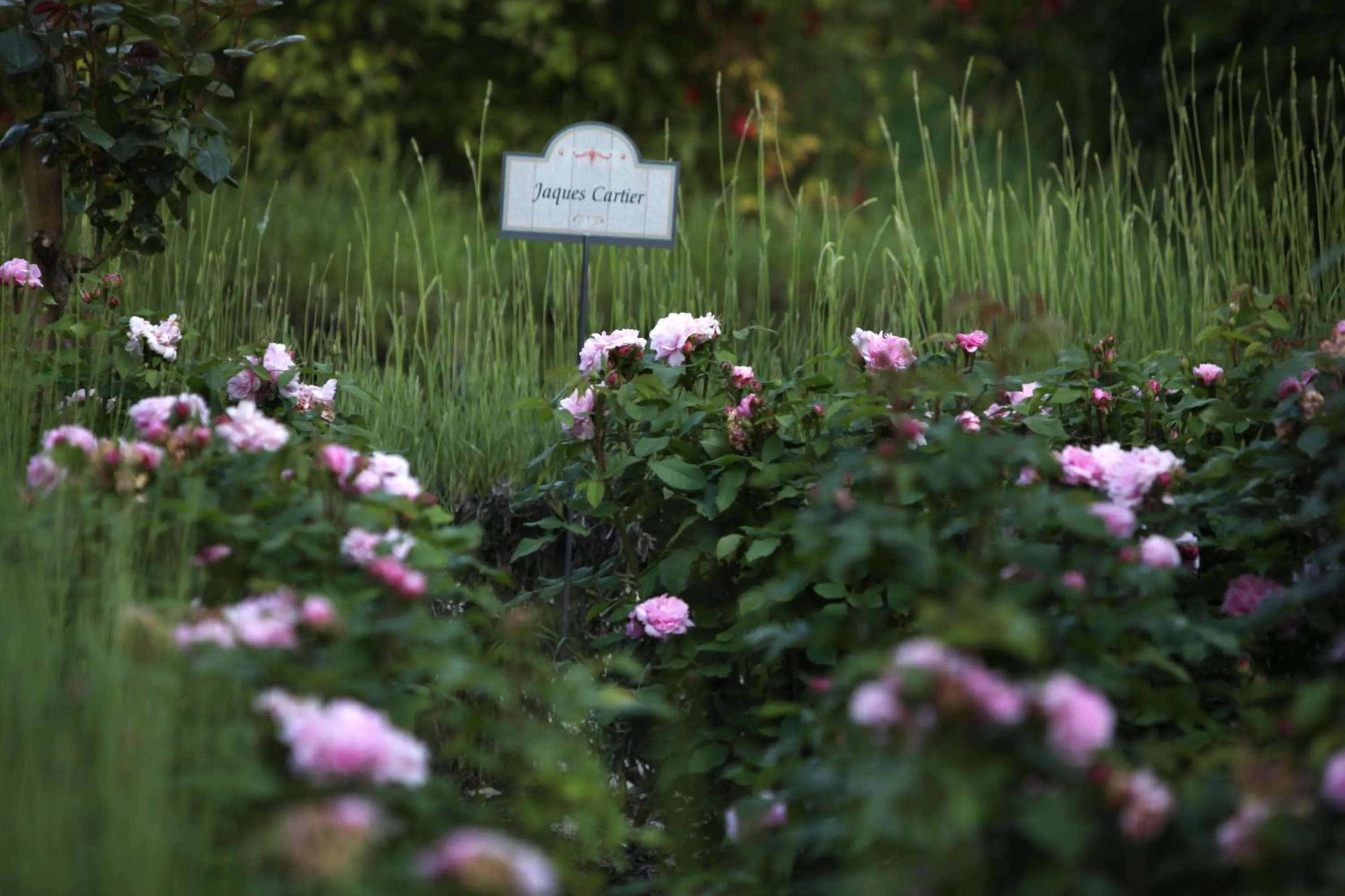 Patio in Resort e Spa San Crispino