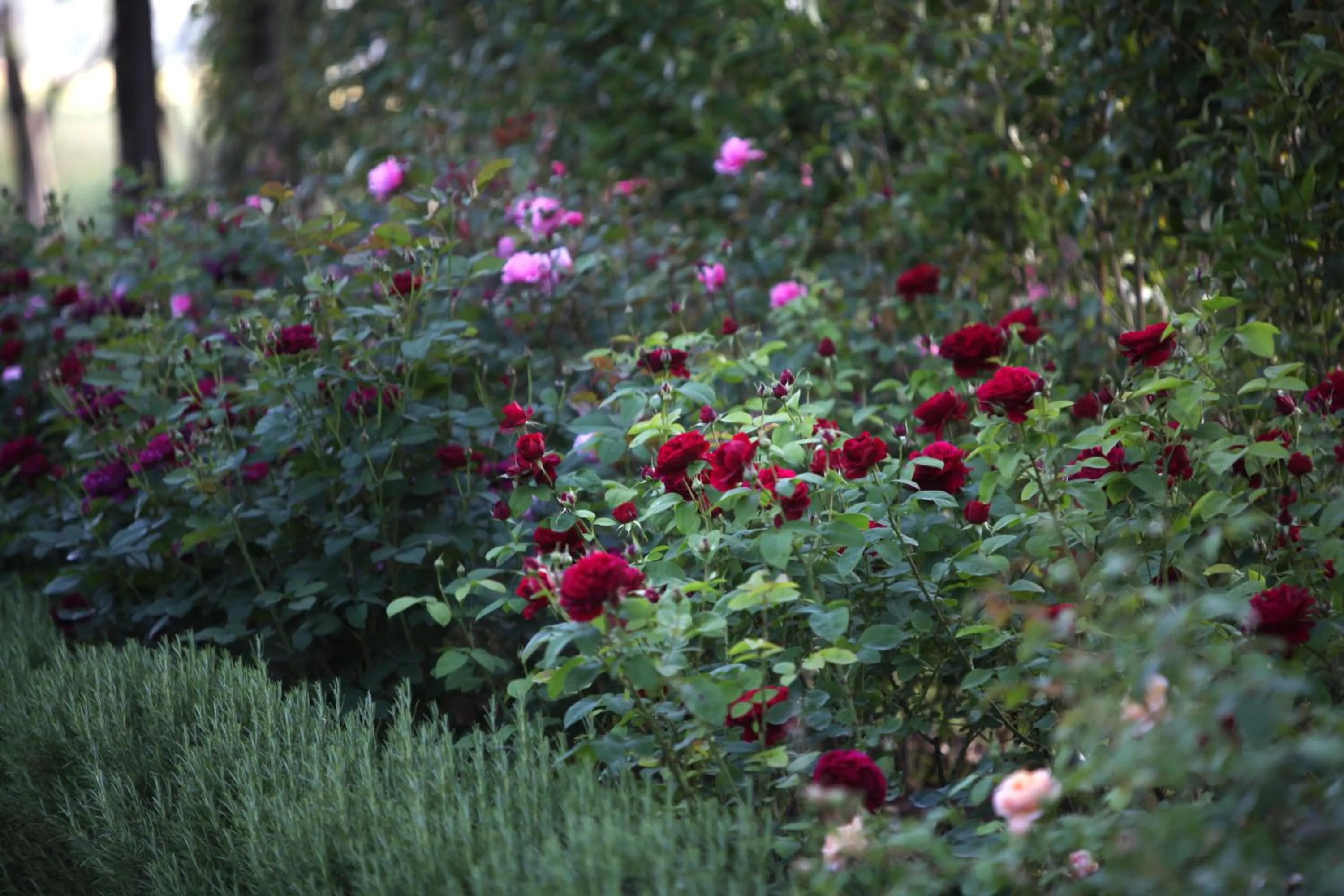 Facade/entrance in Resort e Spa San Crispino