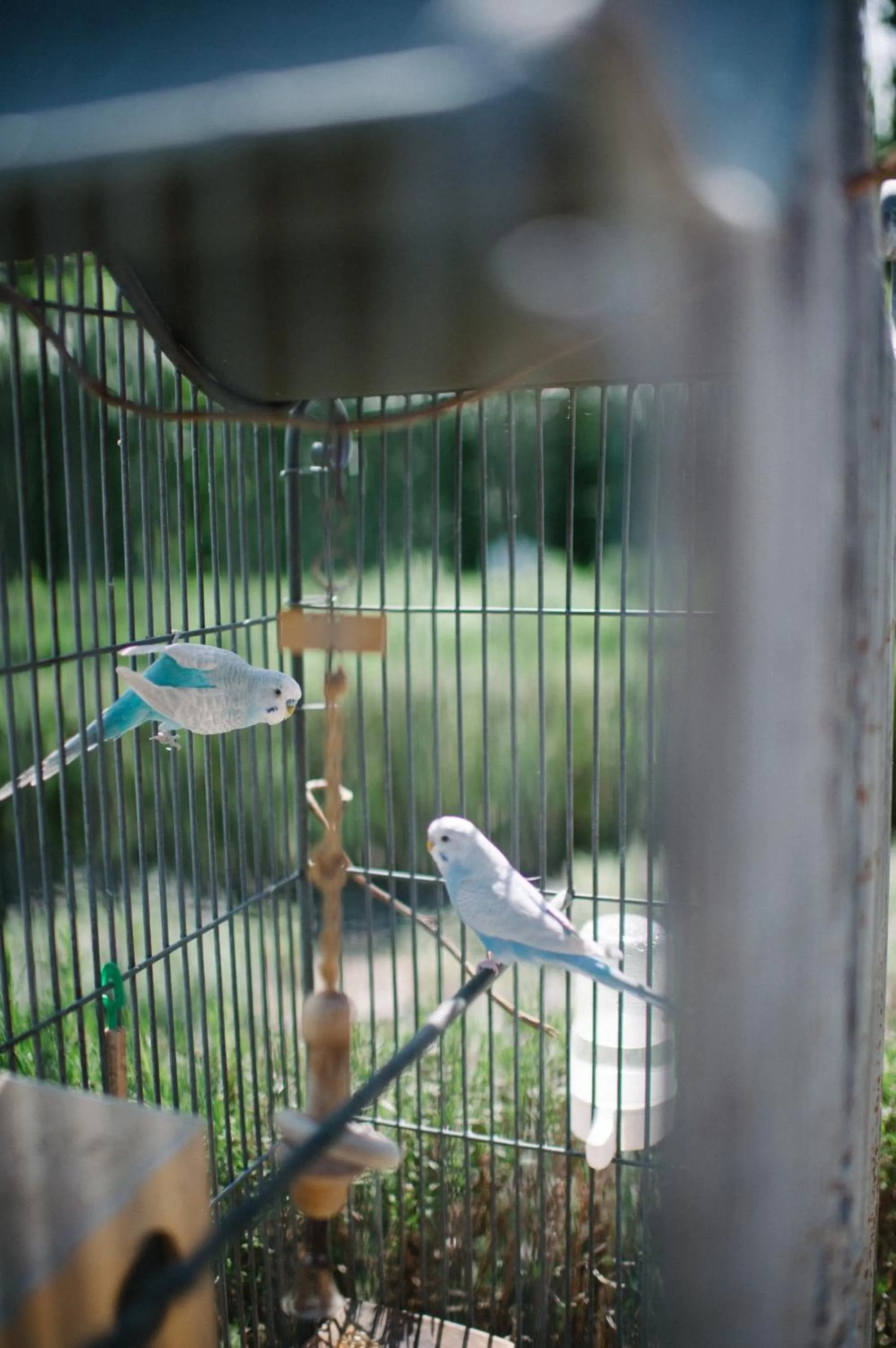 Patio in Resort e Spa San Crispino