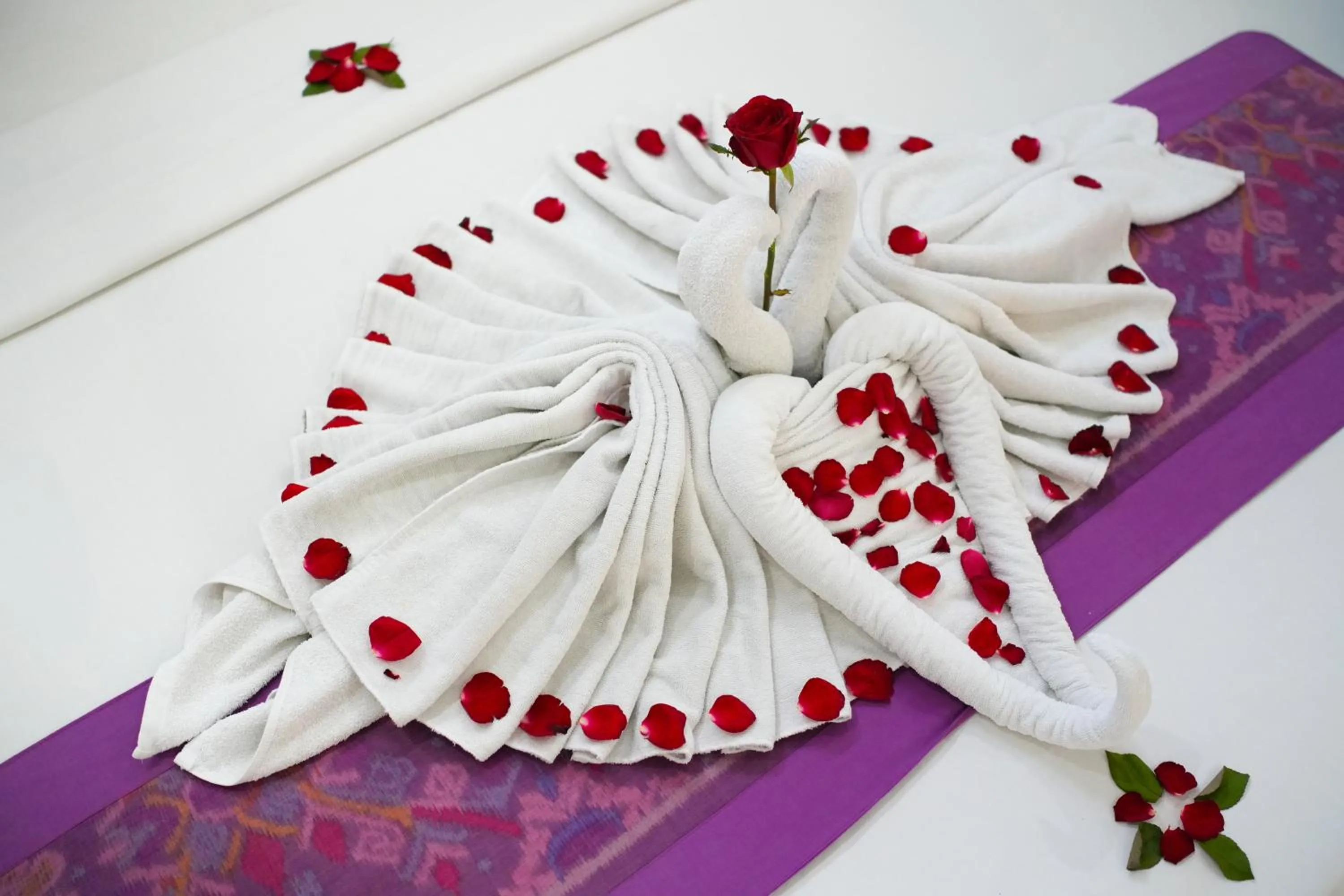 towels in PAK'VO'HOUSE