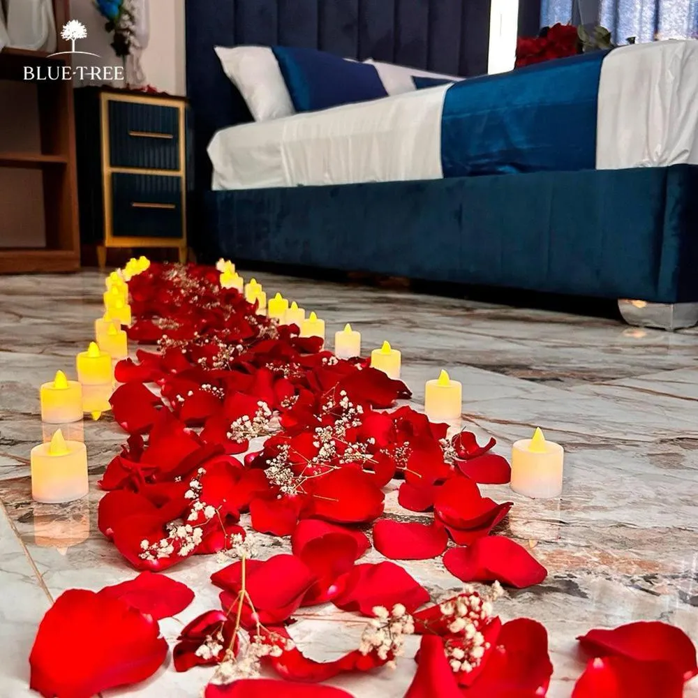 Photo of the whole room, Bed in Blue Three