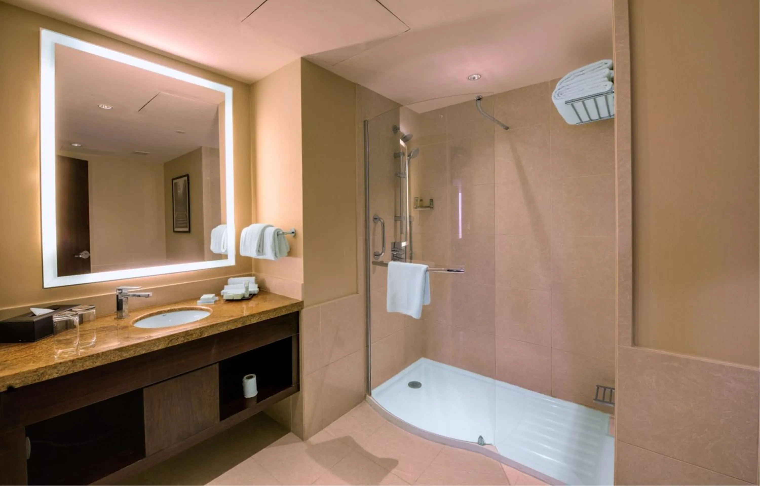 Bathroom in Hilton Garden Inn, Trivandrum