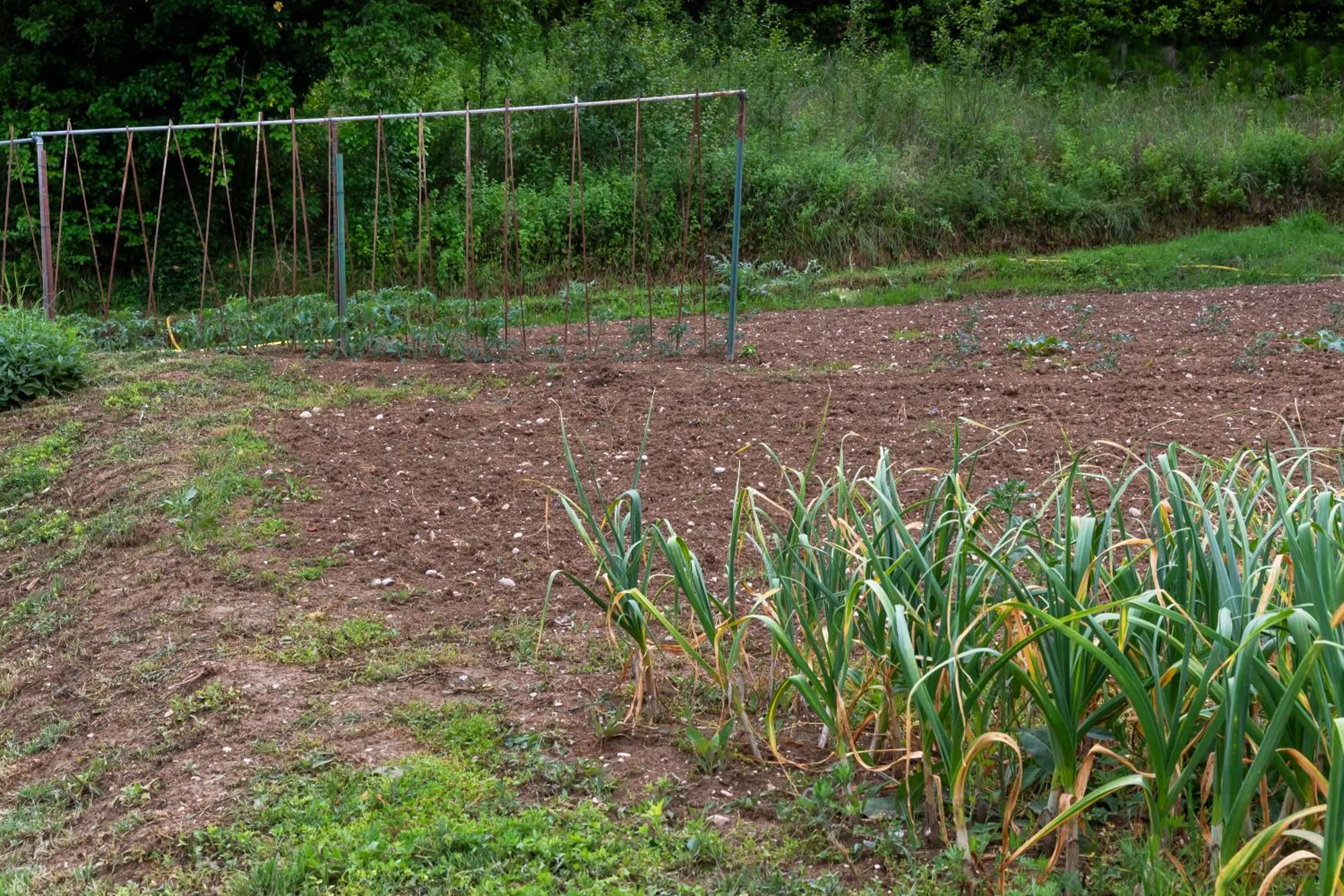 Natural landscape in Locanda Tanè