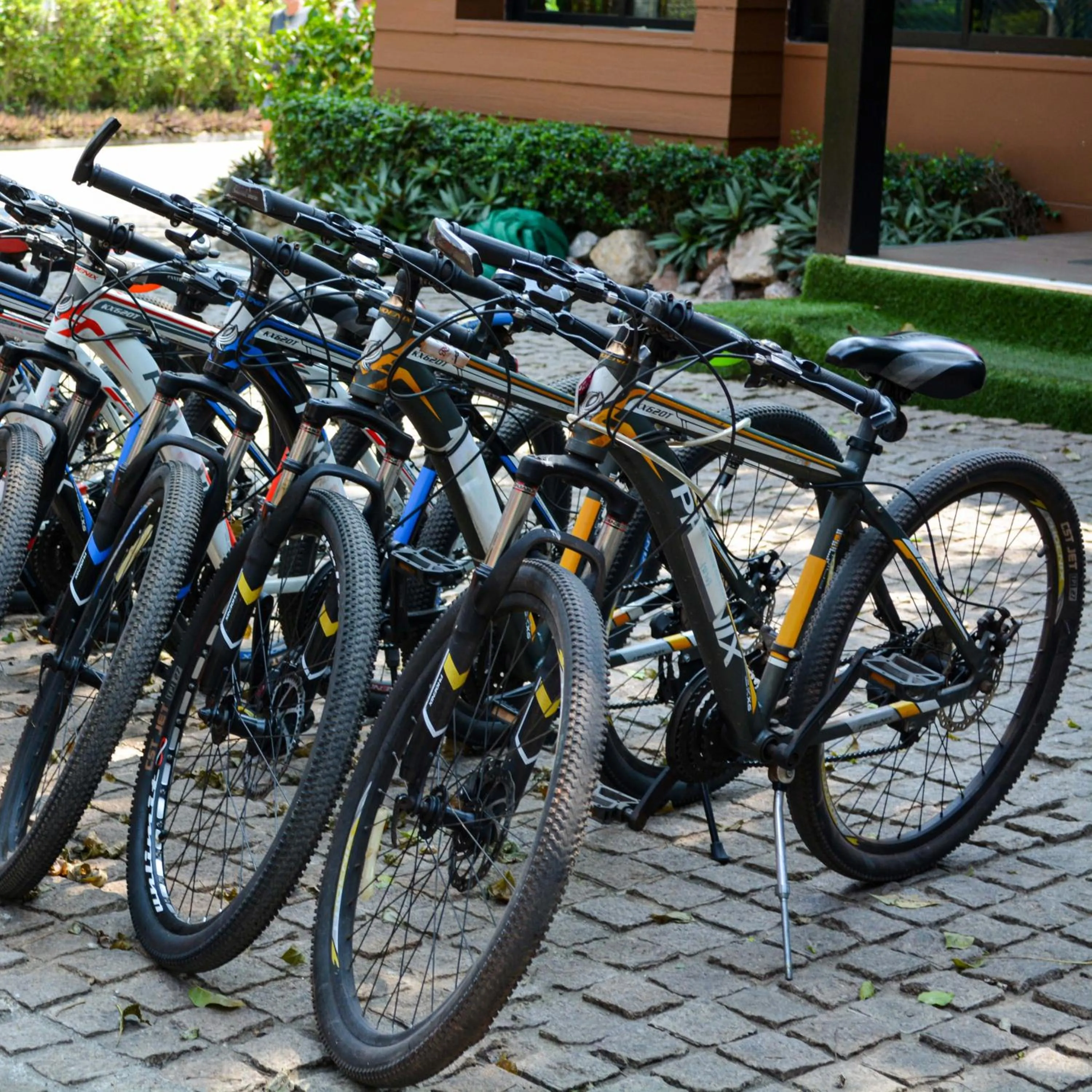Cycling in The Grace Amphawa
