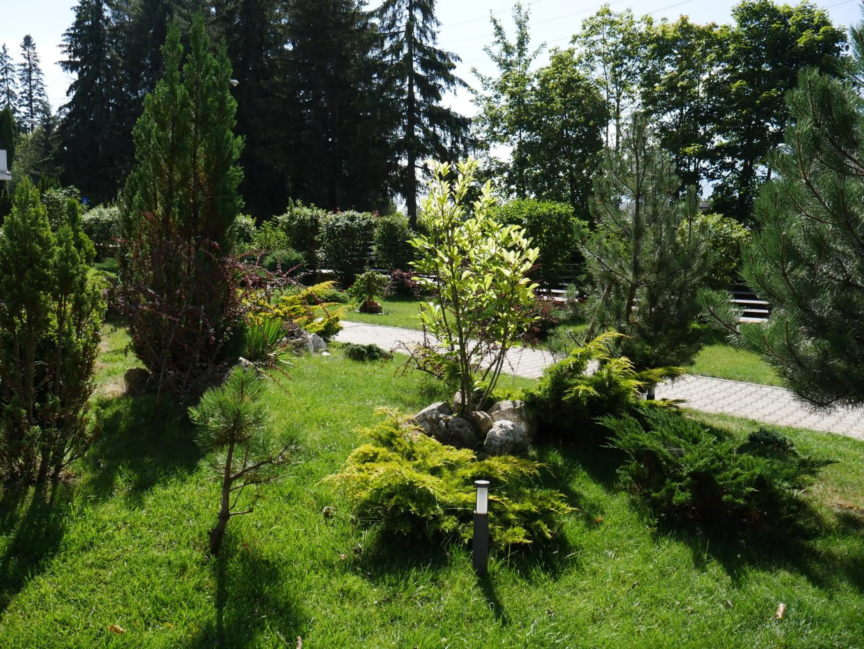 Day in Hotel Carpați