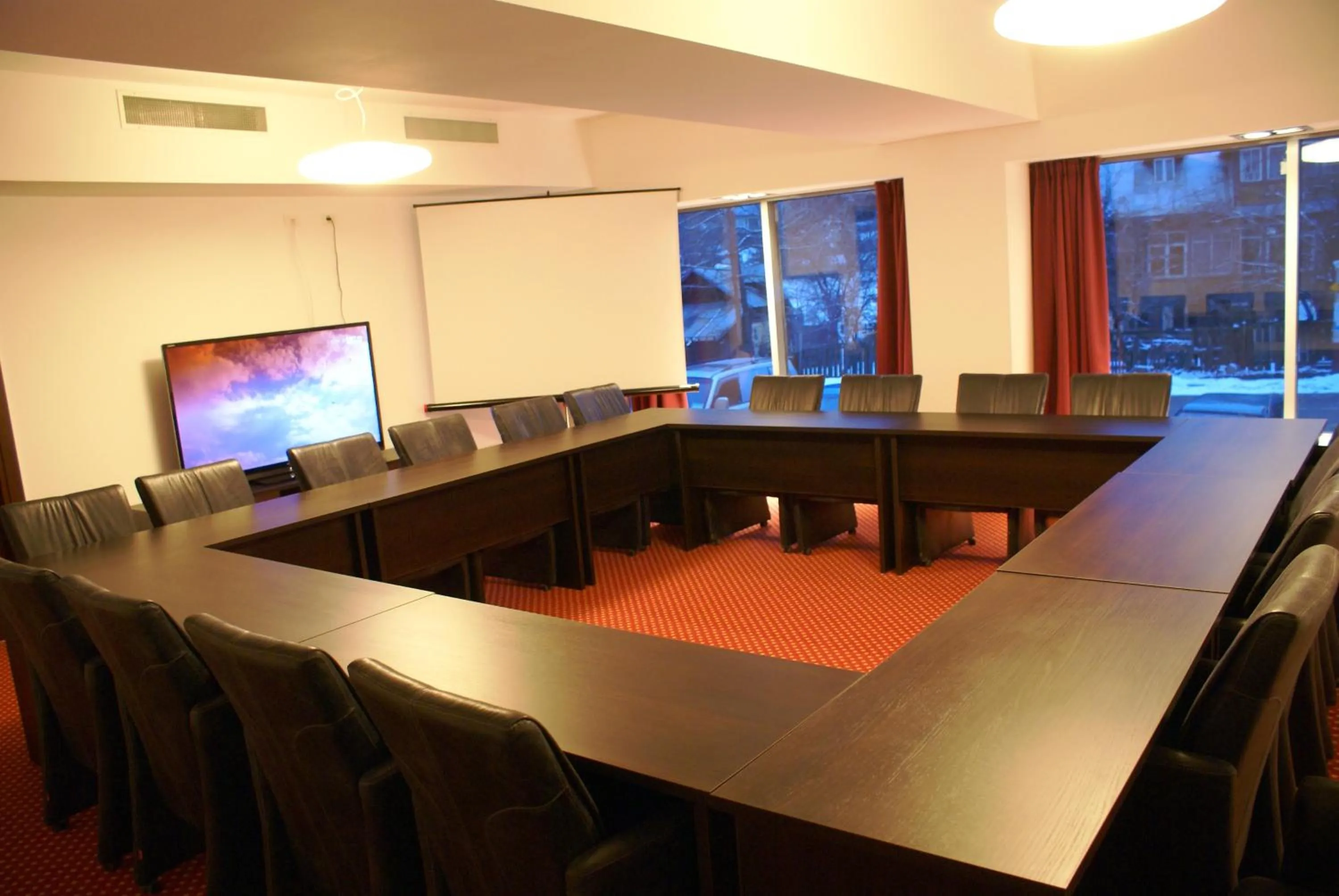 Business facilities in Hotel Carpați