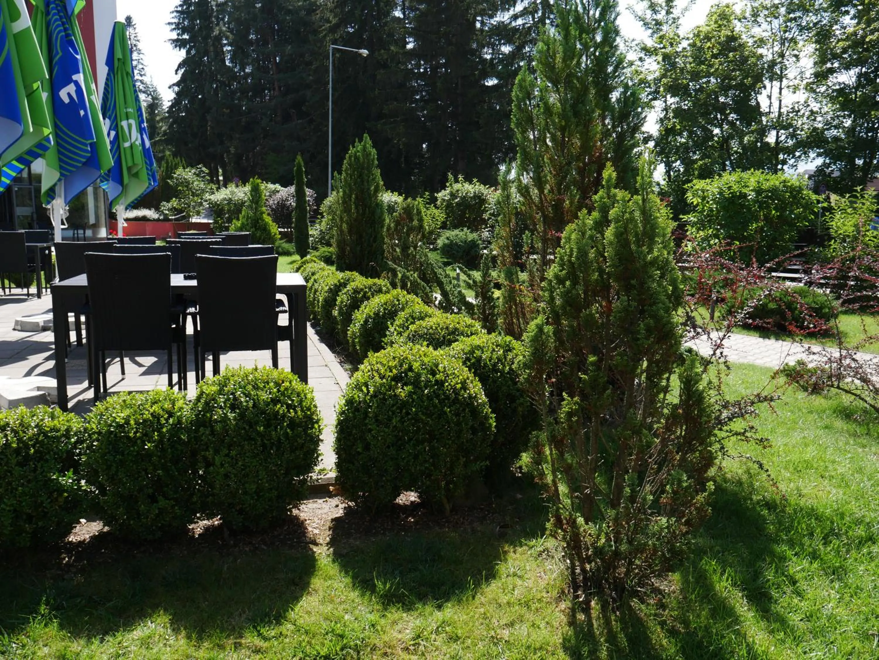 Day in Hotel Carpați