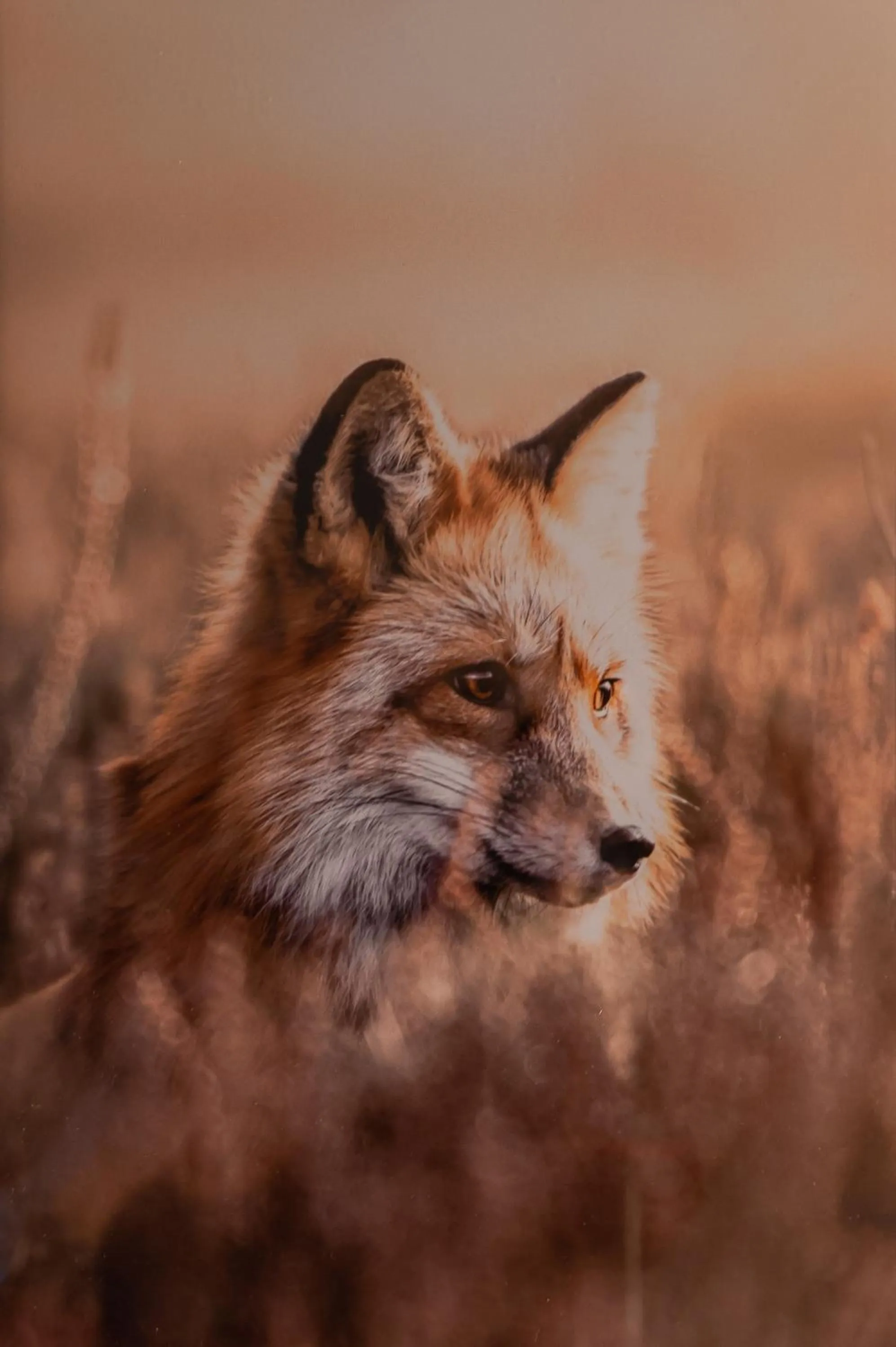 Property building in Hotel Fuchs "Life-Style mit Night-Life"