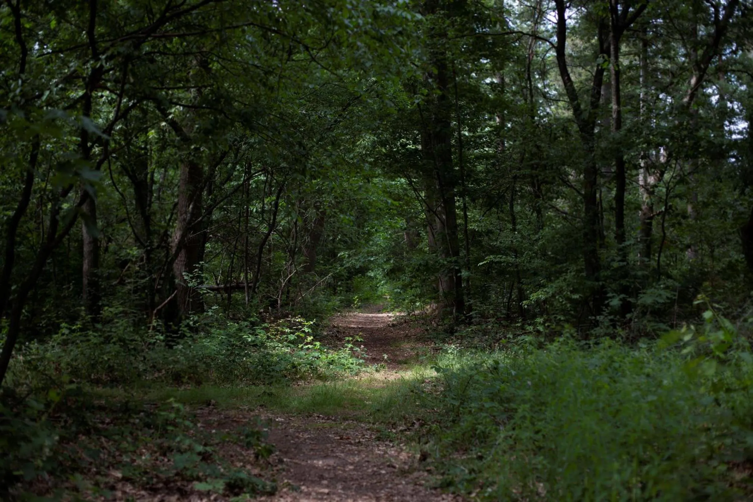 Natural landscape in Buitenplaats Petersburg