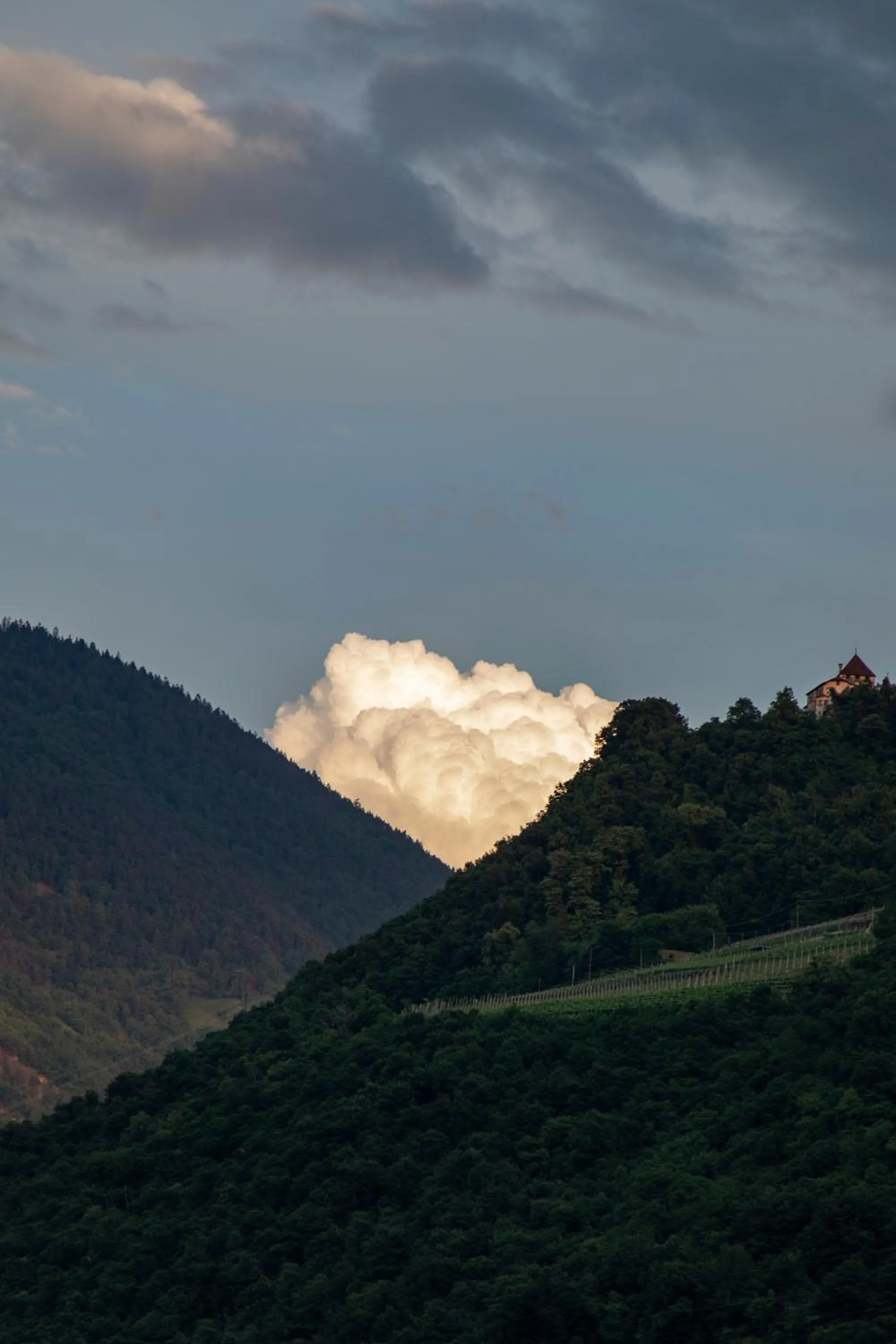 View (from property/room) in Hotel Magdalener Hof