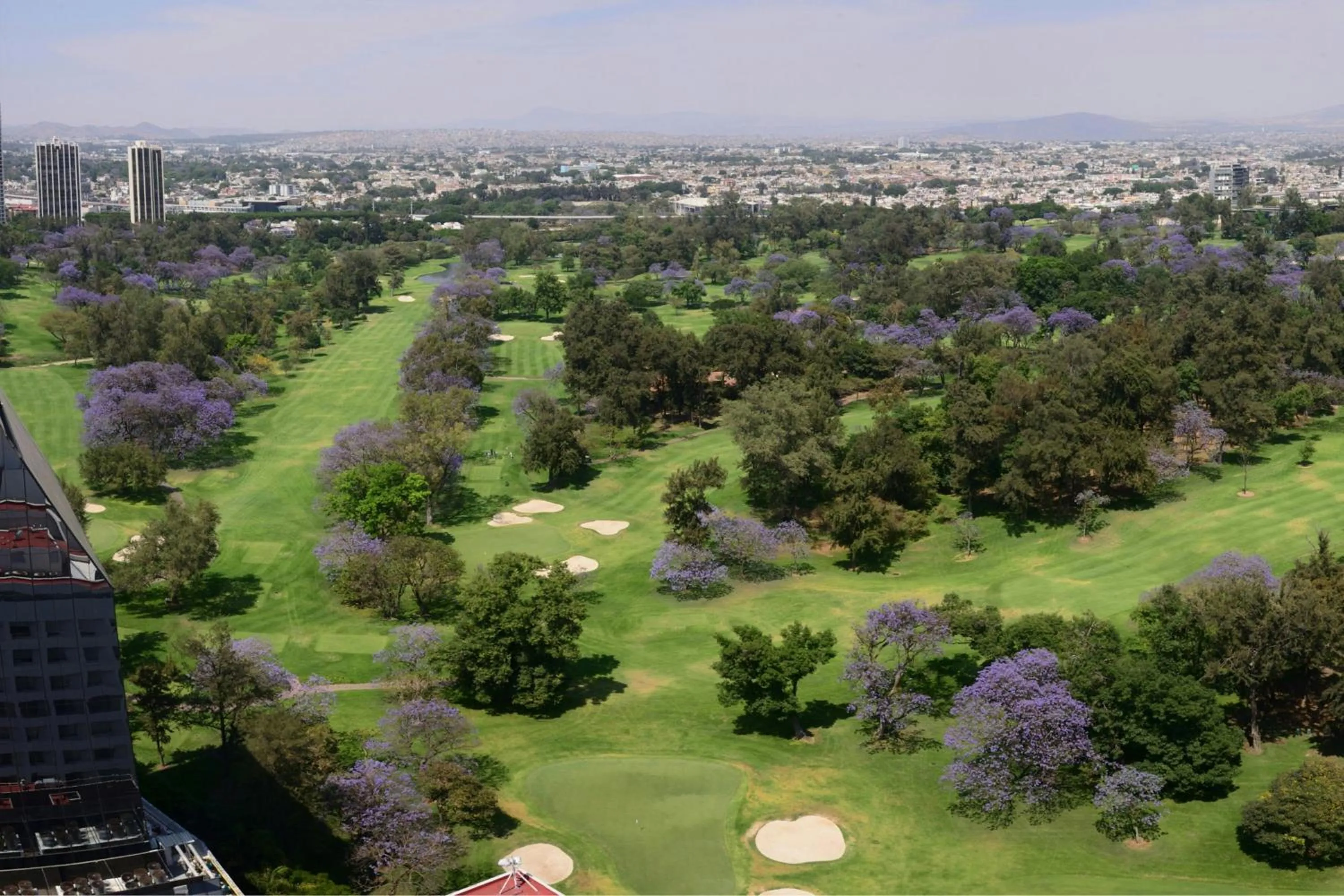 Other in Hotel Guadalajara Country Club by HNF