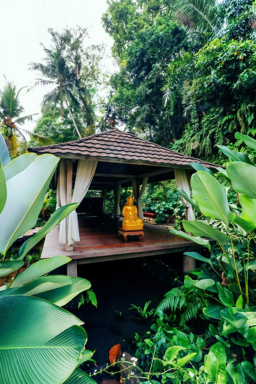 Activities in Tattva Ubud Retreat & Wellness