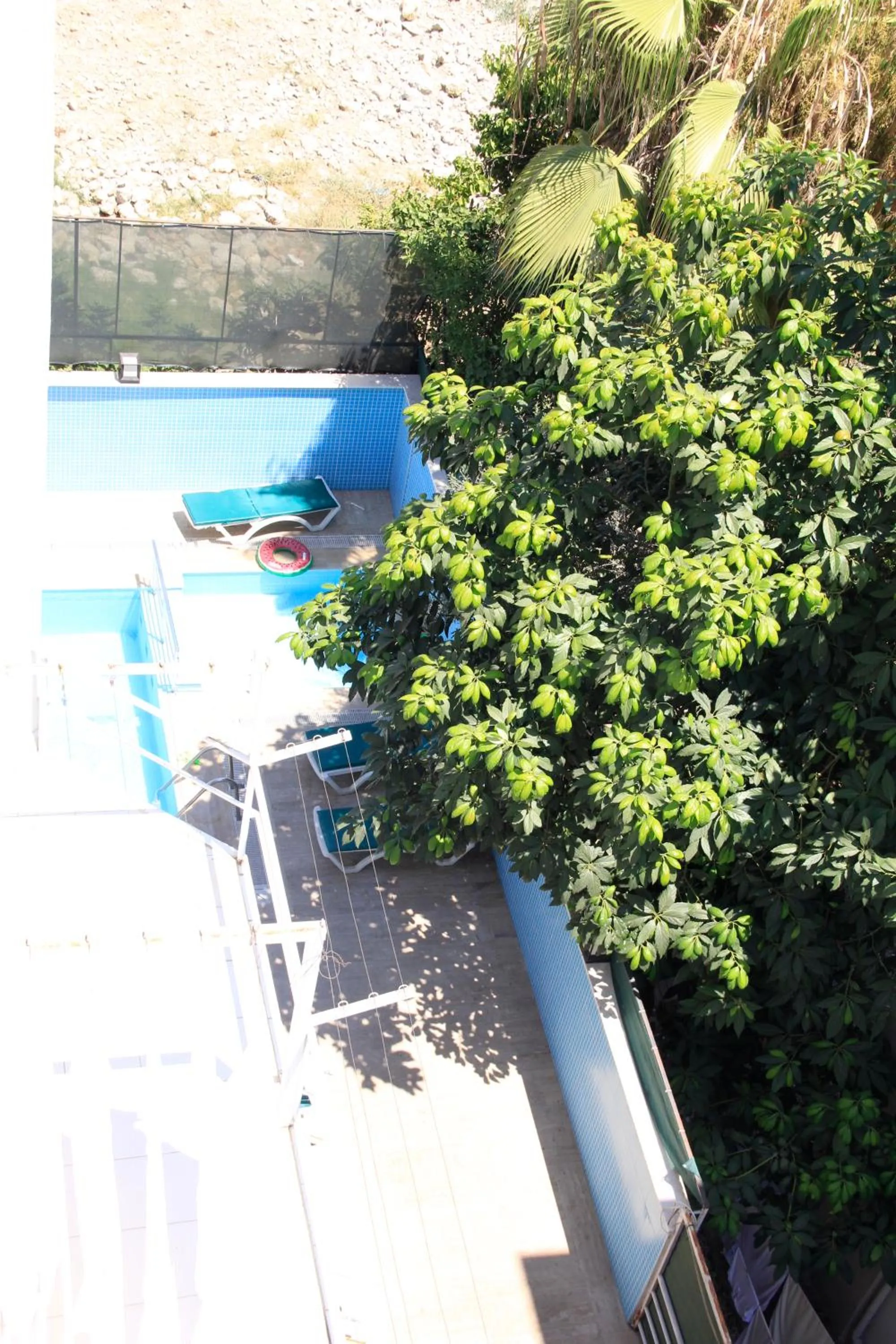 Garden in Cleopatra City Hotel Alanya