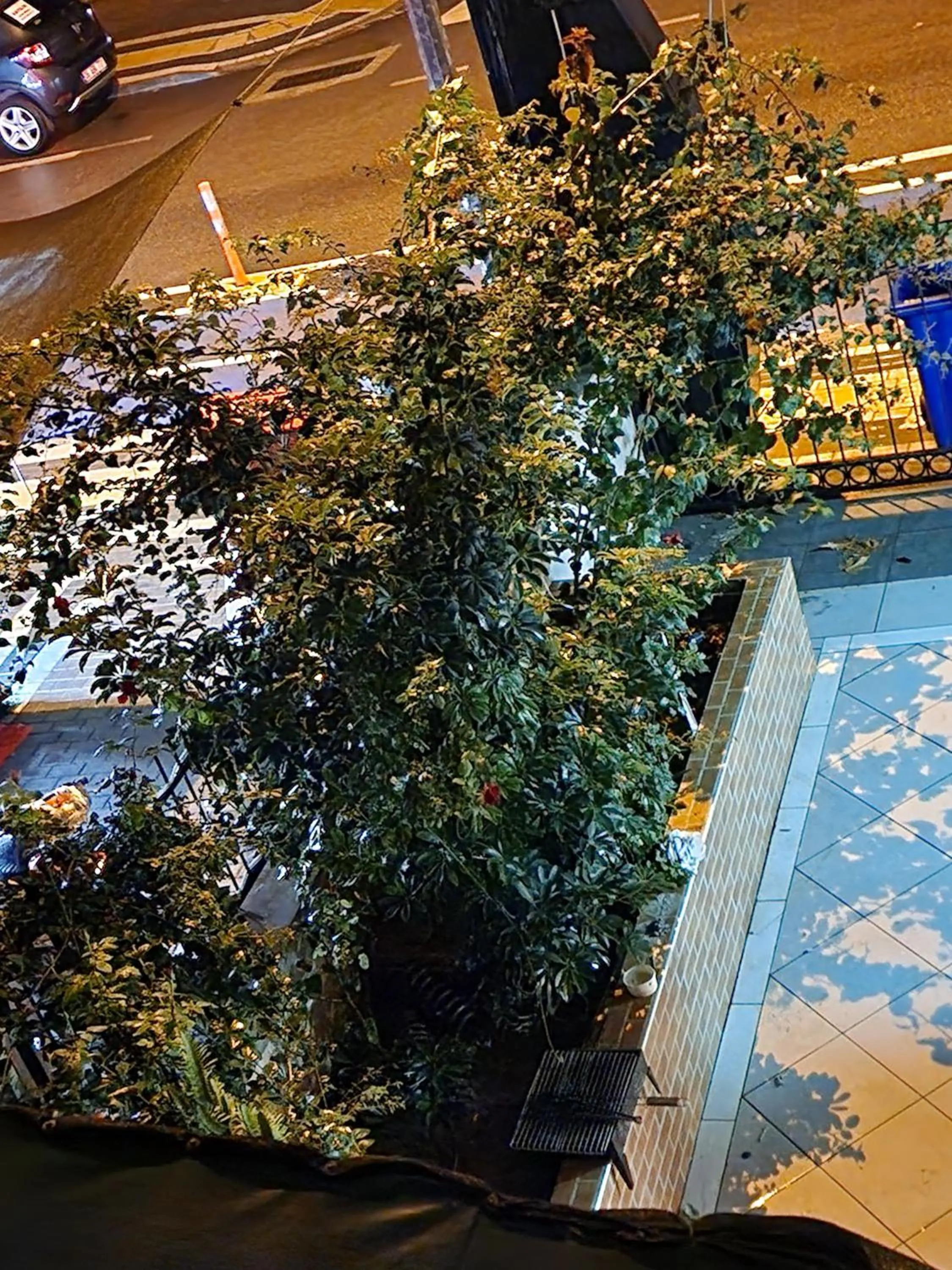 Children play ground in Cleopatra City Hotel Alanya