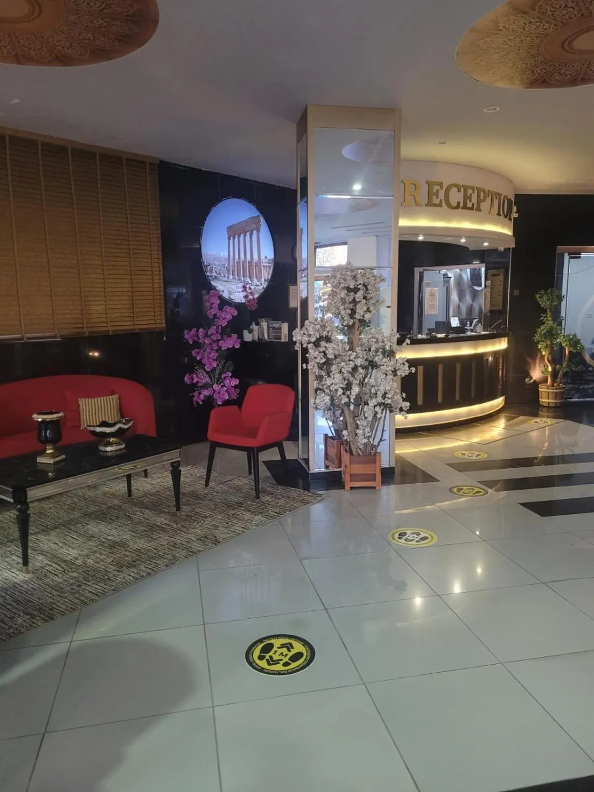 Evening entertainment in Cleopatra City Hotel Alanya