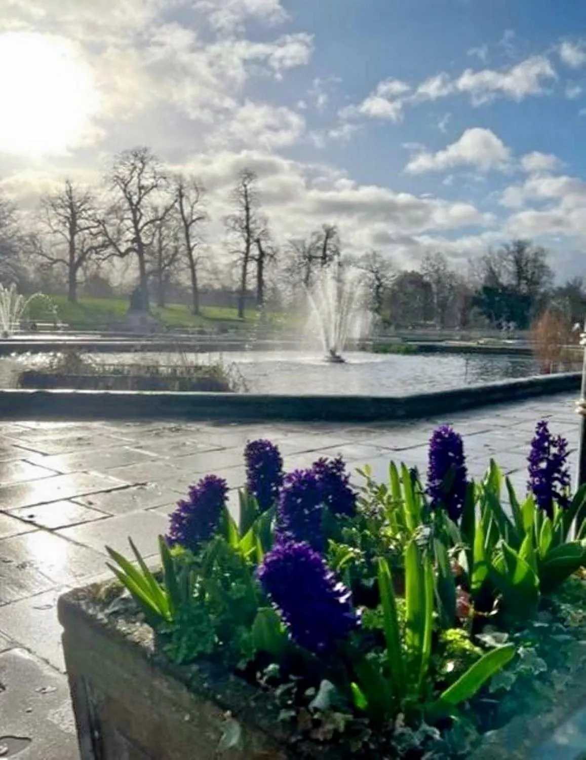 Neighbourhood in Rove Hotel London Paddington